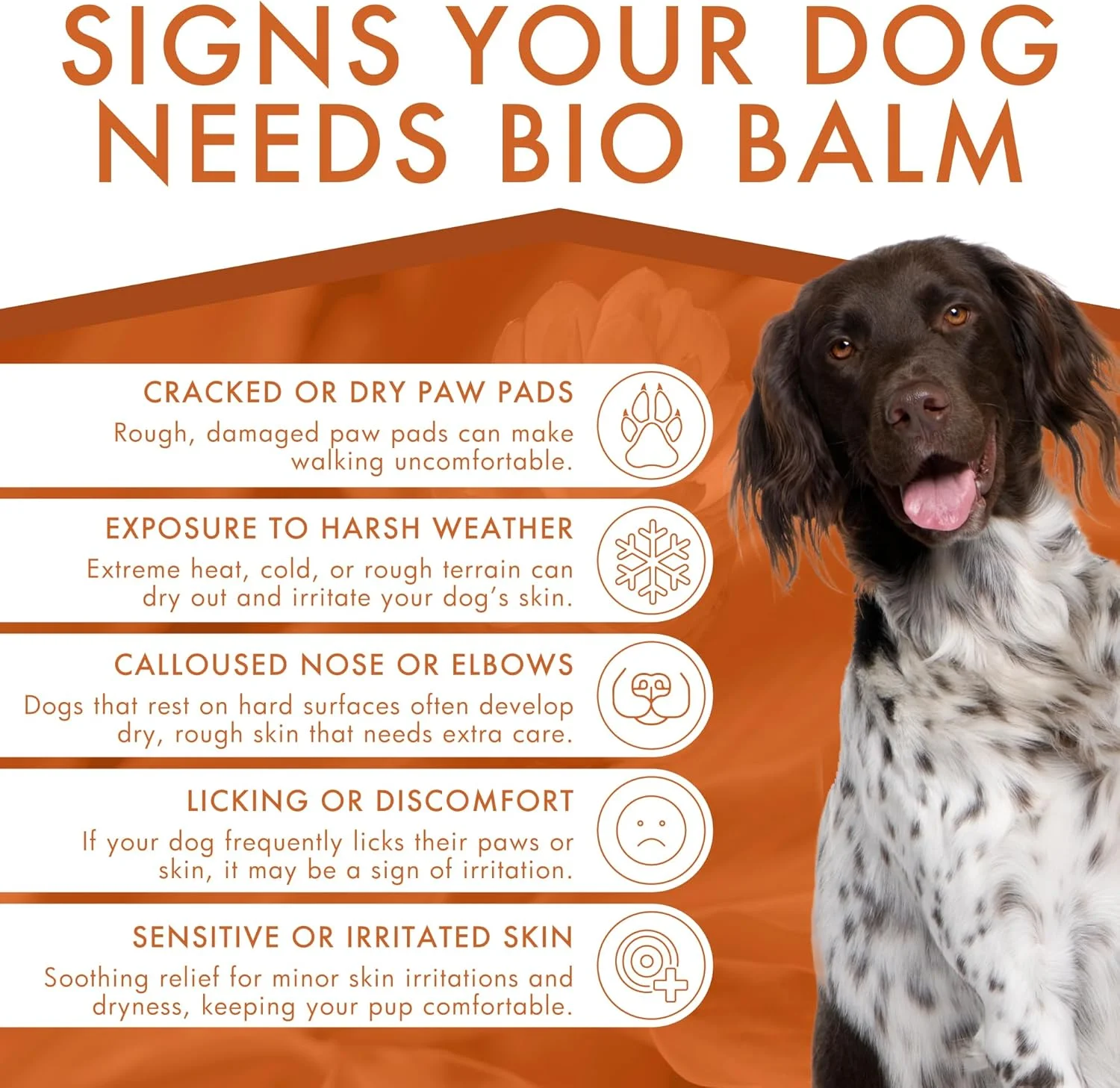 مرهم آبرسان پنجه سگ درموسنت بایو بالم 50 میلی لیتر