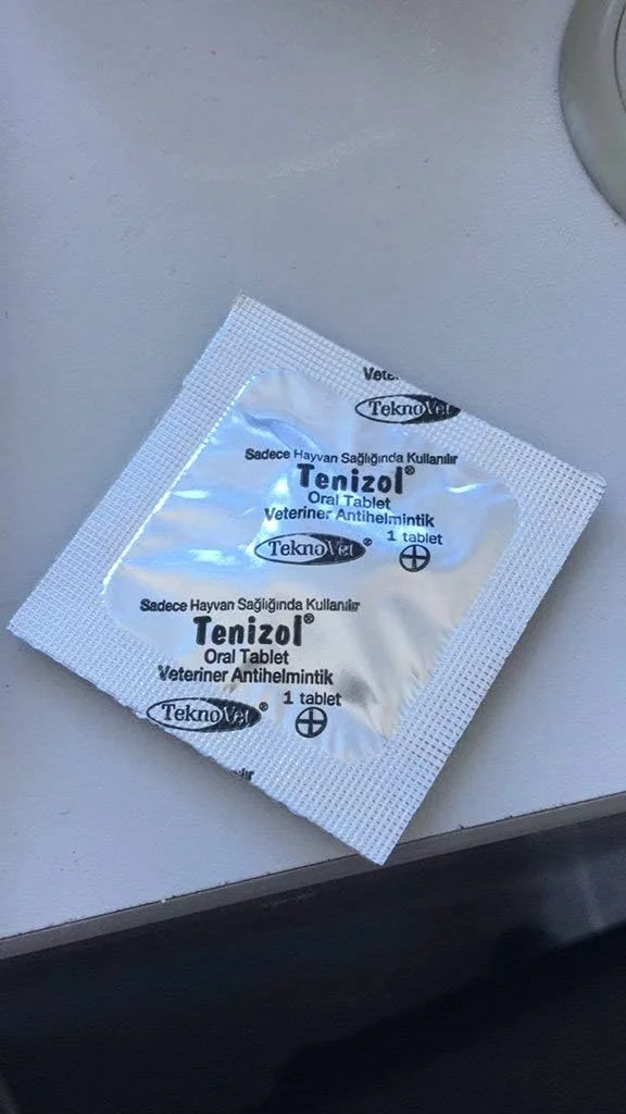 قرص ضد انگل برای سگ ها و گربه ها، ایمن برای حیوانات خانگی باردار و شیرده، یک قرص / 10 کیلوگرم وزن بدن - قرص های درمان کرم شماره 1 در امارات متحده عربی، ایمن برای گربه ها و سگ ها در تمام سنین از جمله حیوانات باردار