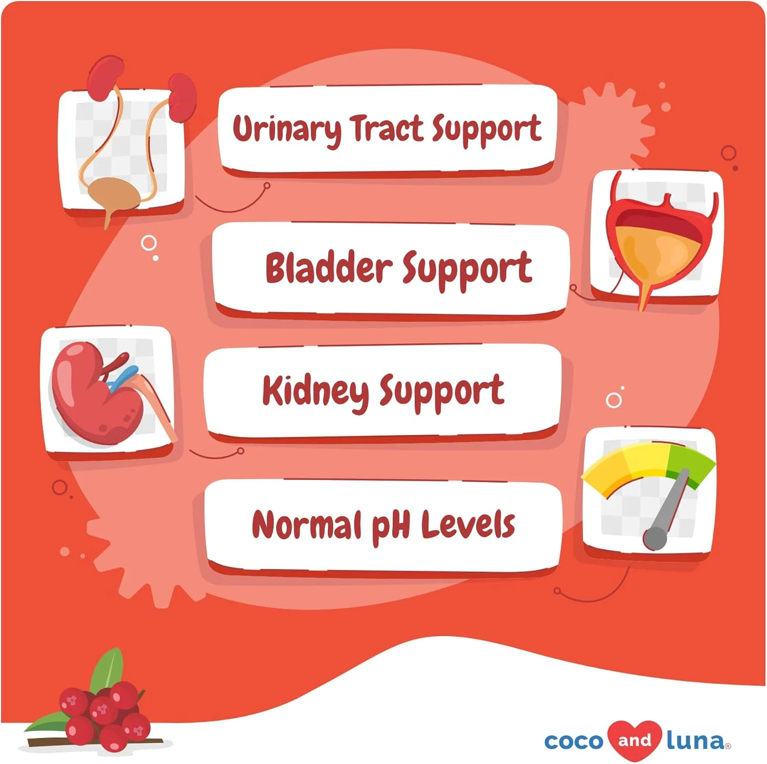 کرن بری برای سگ ها - 90 عدد جویدنی نرم - پشتیبانی از دستگاه ادراری، سلامت مثانه، پشتیبانی از بی اختیاری (جویدنی نرم)