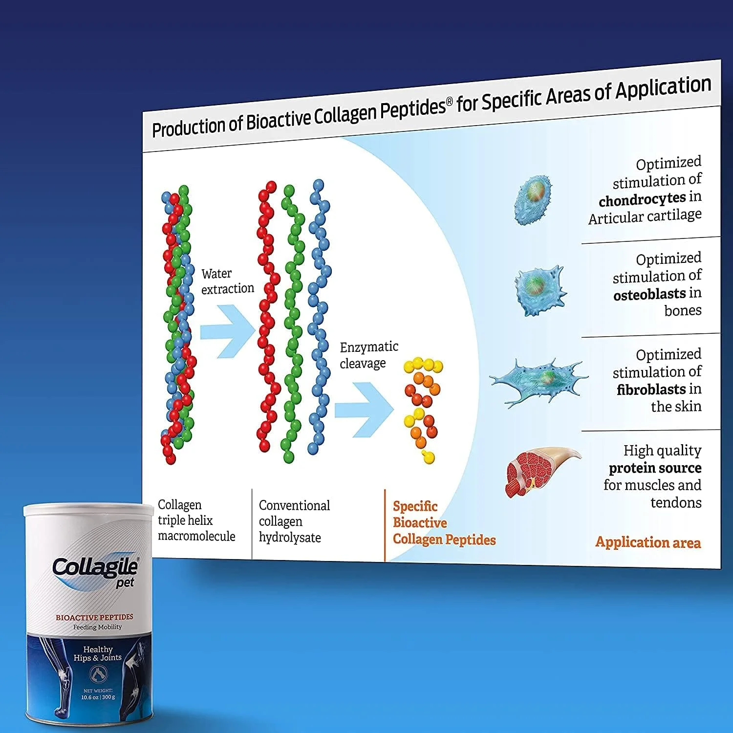 COLLAGILE® pet - مکمل پودری موثر برای مراقبت از مفاصل و لگن سگ | تست شده بالینی توسط دامپزشکان | 100% طبیعی | بدون طعم و بو