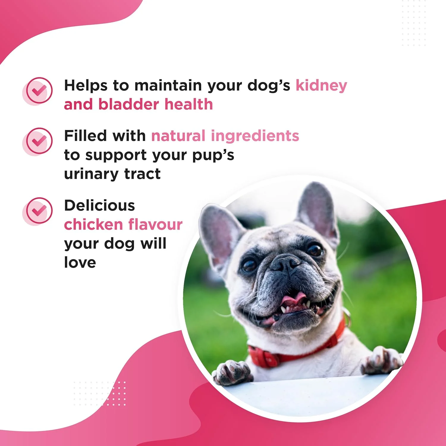 مکمل غذایی سگ، فرمول پیشرفته برای کلیه و مثانه (120 قرص – طعم مرغ) – مکمل غذایی سگ – محصولی برای سلامتی سگ ساخت انگلستان