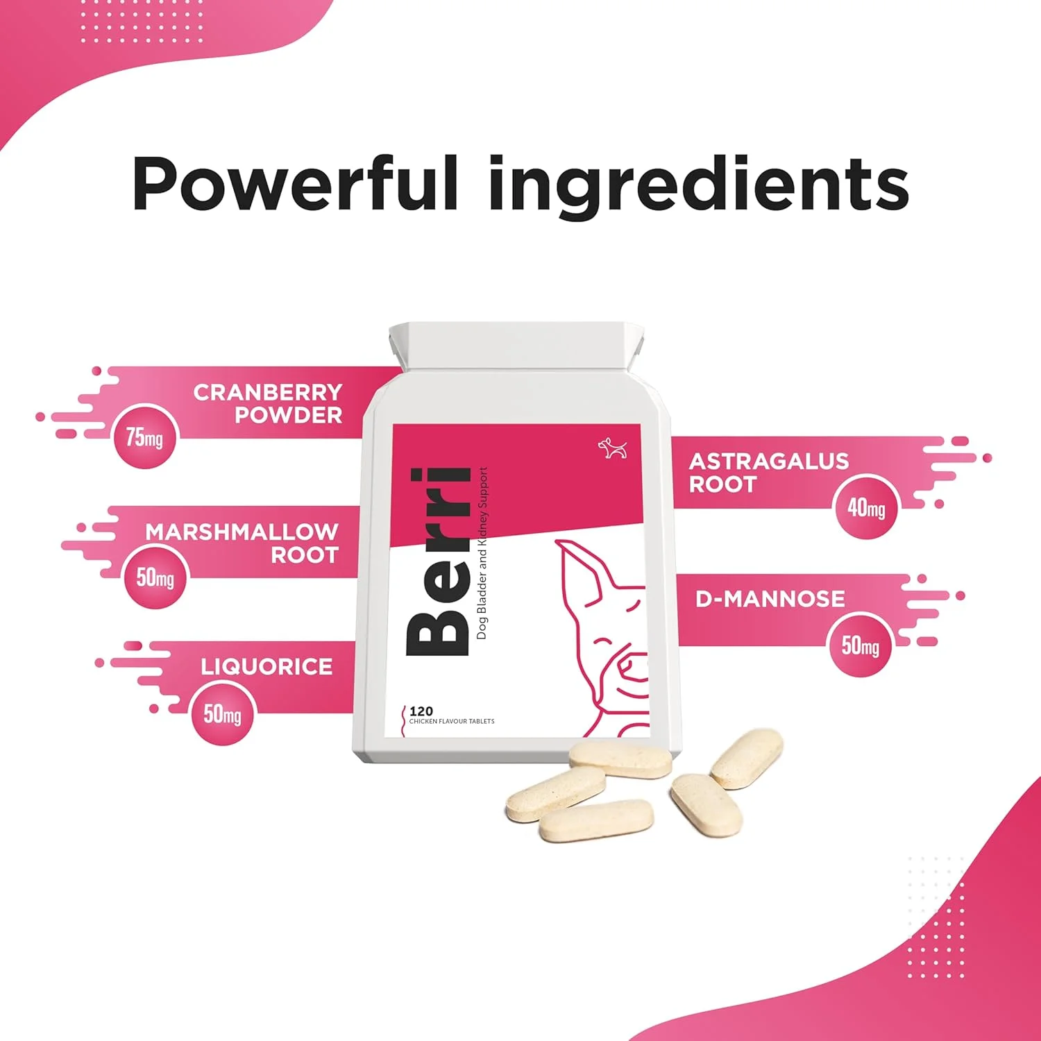 مکمل غذایی سگ، فرمول پیشرفته برای کلیه و مثانه (120 قرص – طعم مرغ) – مکمل غذایی سگ – محصولی برای سلامتی سگ ساخت انگلستان