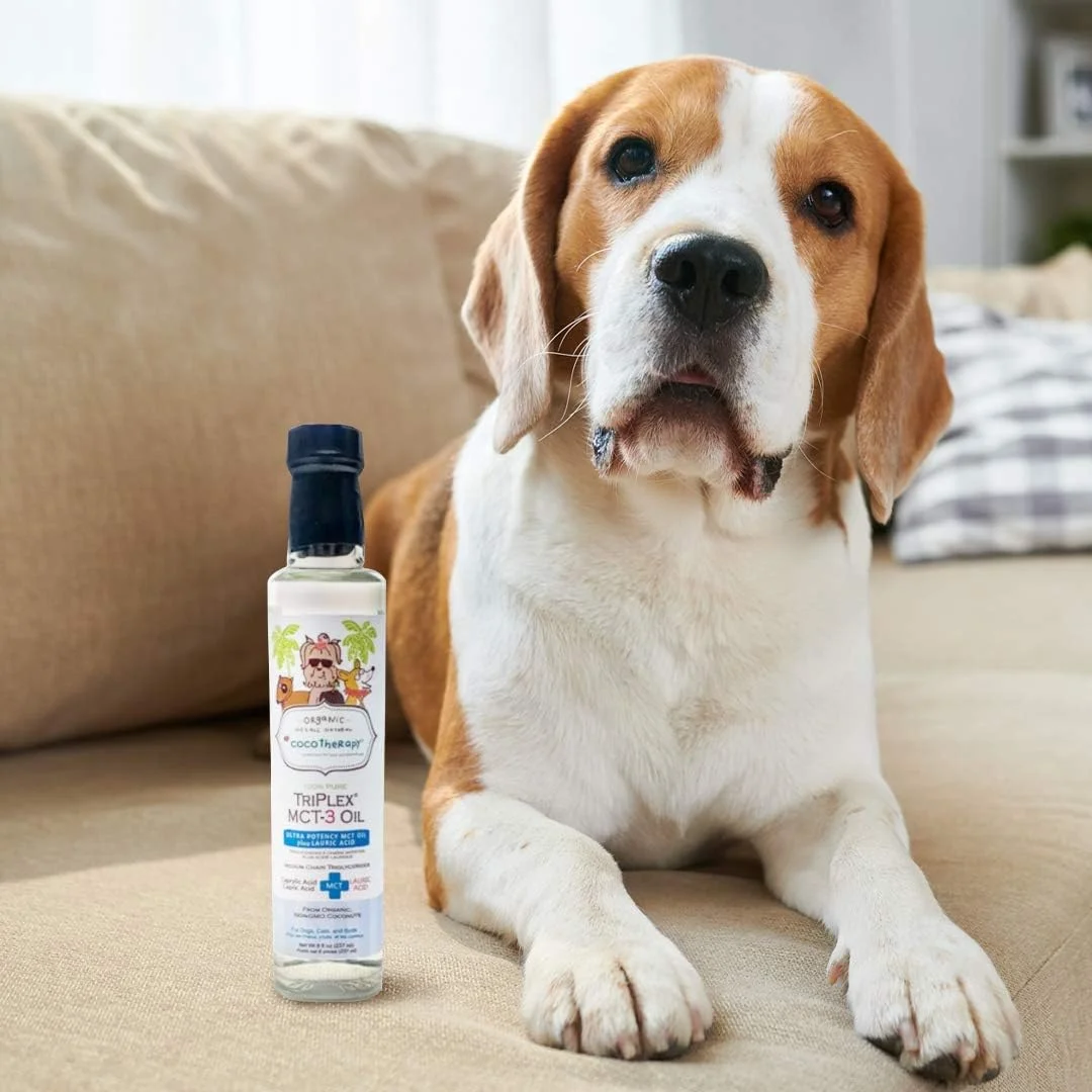 روغن تریپلکس MCT-3 کوکوتراپی، غیر تراریخته، 100% خالص و طبیعی، 236 میلی لیتر