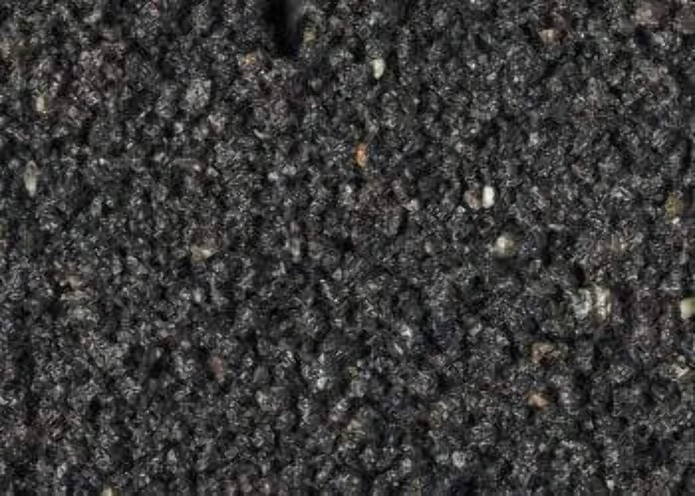 بستر کامل گیاهی کاریب سی اکو