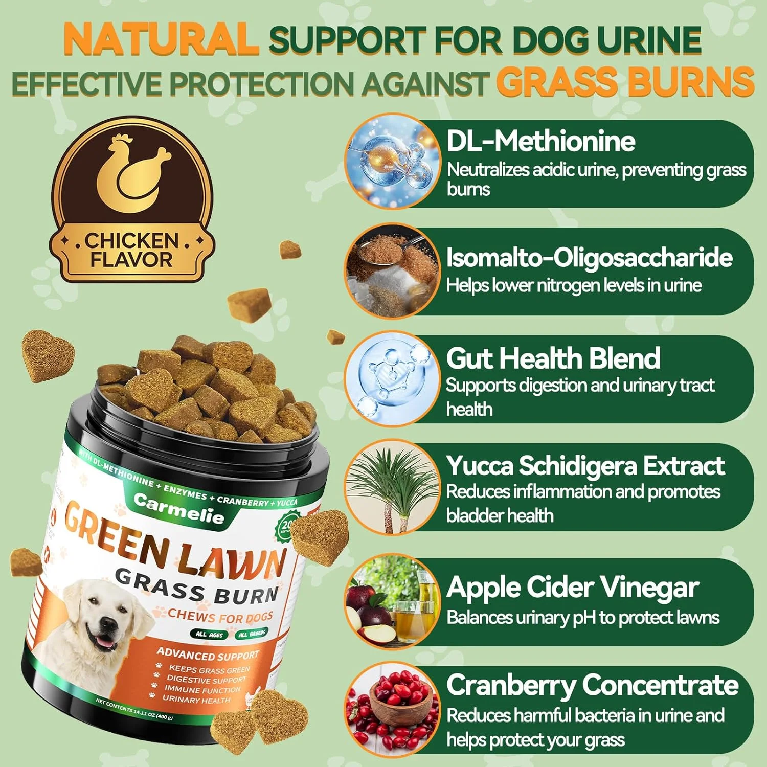 قرص های جویدنی برای جلوگیری از سوختگی چمن ناشی از ادرار سگ - 200 عدد - خنثی کننده ادرار برای چمن - پشتیبانی از سلامت دستگاه ادراری و گوارشی با DL-متیونین، پروبیوتیک ها و آنزیم ها