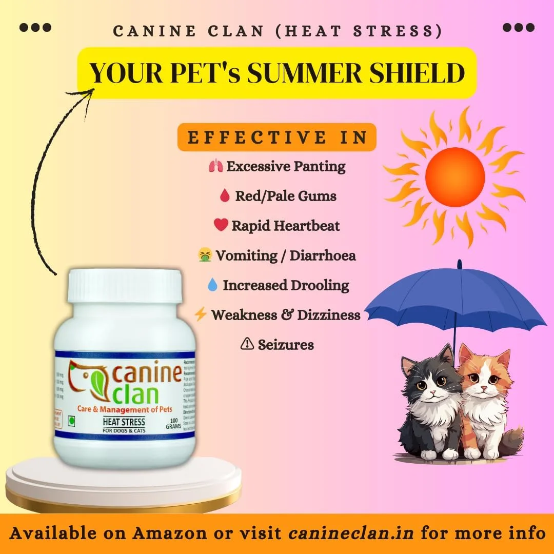 محصول ویژه سگ و گربه | مناسب برای له له زدن بیش از حد، افزایش ترشح بزاق، لثه های قرمز یا رنگ پریده، ضربان قلب سریع، ضعف، استفراغ یا اسهال، سرگیجه و تشنج | 100 گرم