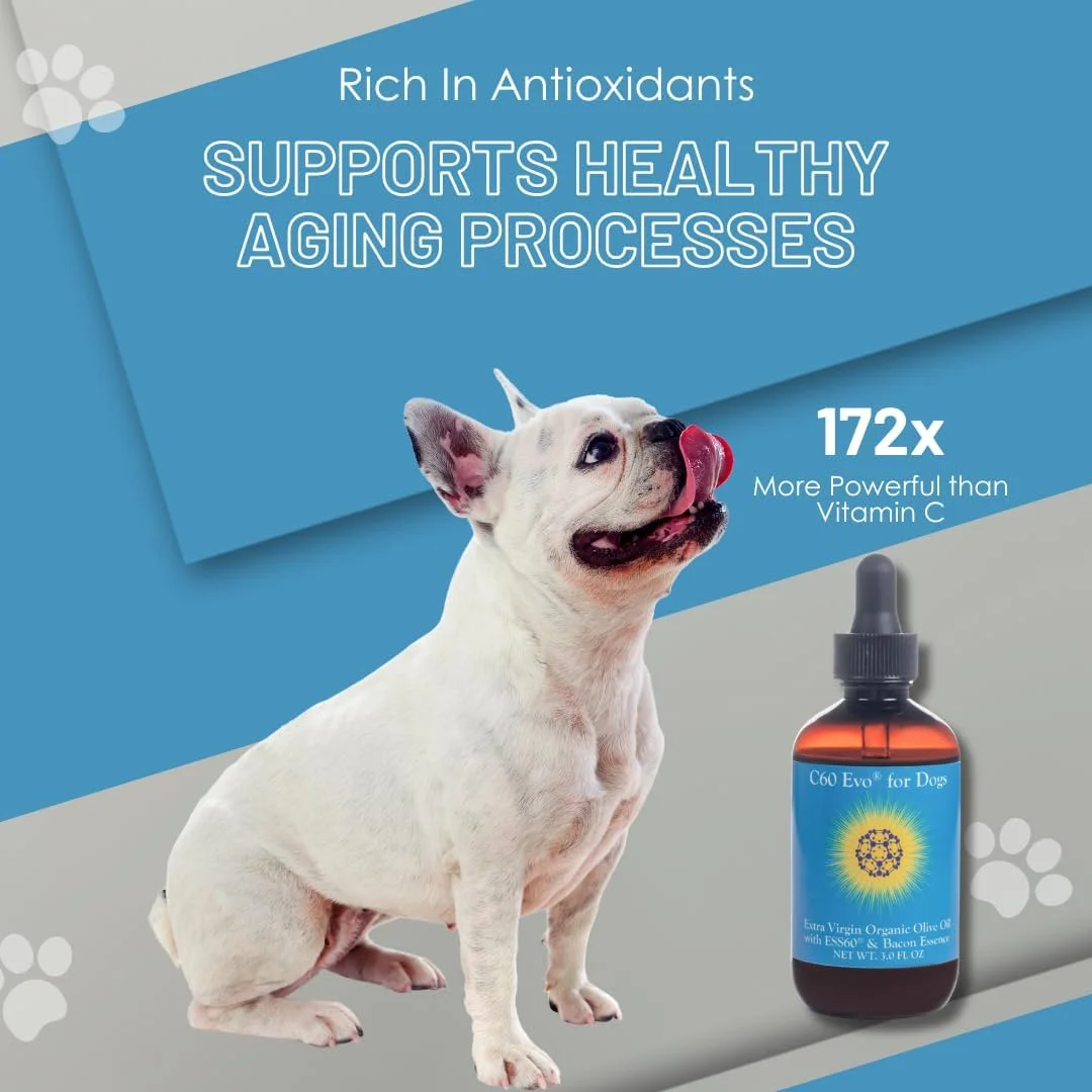 مکمل سگ، ESS60 خالص در روغن زیتون فوق بکر برای سگ ها، مکمل همه کاره برای سیستم ایمنی سگ، پشتیبانی از مفاصل و انرژی سگ، طعم بیکن طبیعی، 85 گرم - C60 Evo
