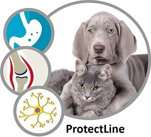 کادوک - زئولیت انحصاری طبیعت