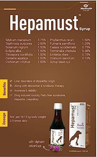 شربت هپاماست (200x2 میلی لیتر) تونیک گیاهی کبد (سیلیمارین آنتی اکسیدان قوی و محافظ کبد) کمک به بی اشتهایی و ضعف، برای گربه ها و سگ ها (بسته 2 عددی)