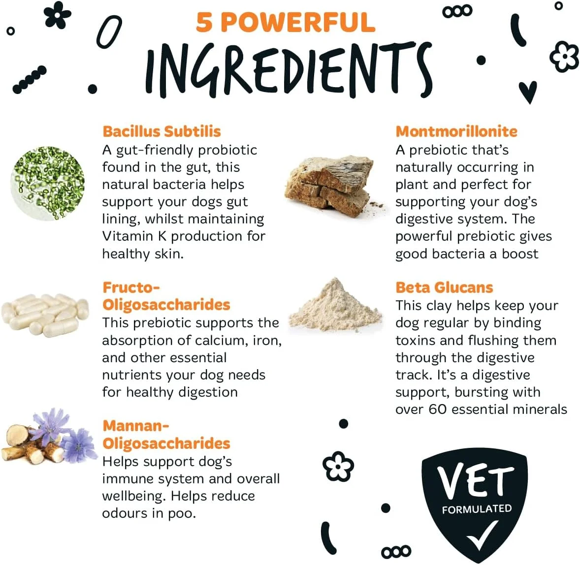 مکمل گوارشی پری بیوتیک و پروبیوتیک باگالوگز برای سگ ها - 80 گرم