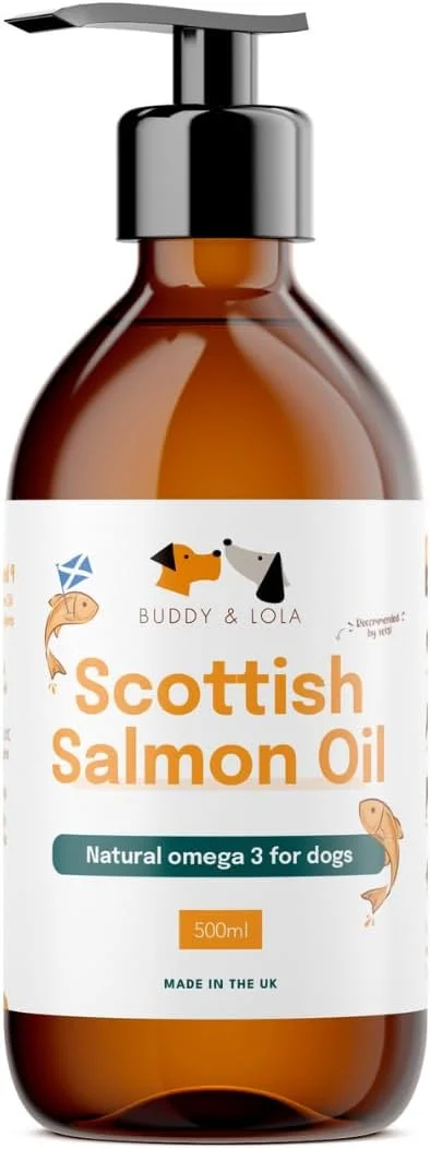 روغن ماهی سالمون اسکاتلندی خالص با گرید غذایی بادی اند لولا برای سگ ها و حیوانات خانگی (500 میلی لیتر) - امگا 3، 6 و 9 طبیعی برای پوشش براق، پوست و مفاصل بهتر، کاهش خارش و بهبود سلامت شناختی