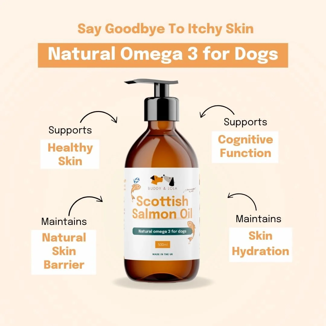 روغن ماهی سالمون اسکاتلندی خالص با گرید غذایی بادی اند لولا برای سگ ها و حیوانات خانگی (500 میلی لیتر) - امگا 3، 6 و 9 طبیعی برای پوشش براق، پوست و مفاصل بهتر، کاهش خارش و بهبود سلامت شناختی