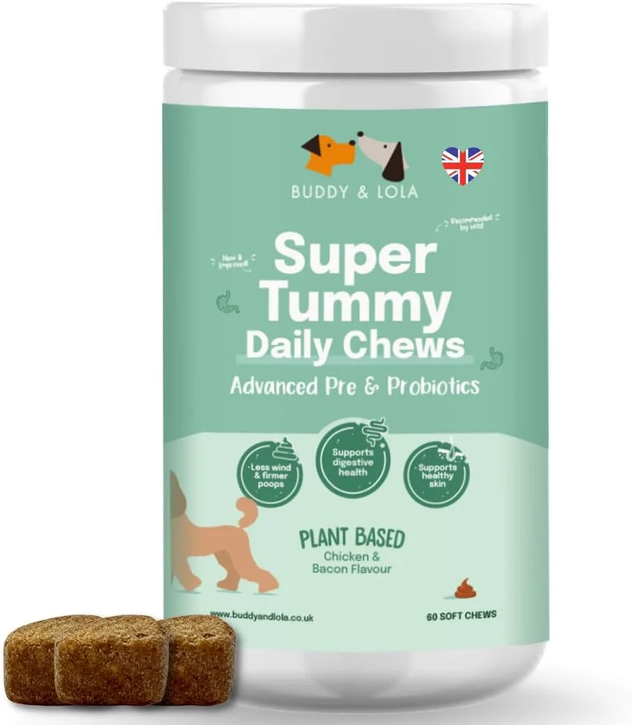 پری‌بیوتیک و پروبیوتیک سگ بادی اند لولا - خوراکی‌های جویدنی پروبیوتیک روزانه برای سلامت دستگاه گوارش - پری‌بیوتیک‌ها، پروبیوتیک‌ها و فیبر مفید برای روده بهتر - مدفوع سفت