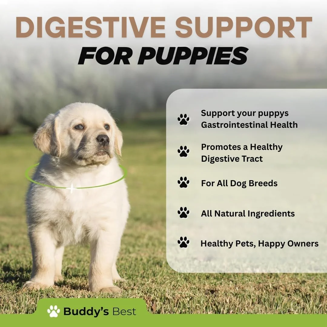 بهترین فرمول حمایتی طبیعی برای توله سگ بادی، 50 میلی لیتر - درمان انگل با عصاره های گیاهی درمنه، آویشن و مریم گلی، استفاده آسان برای سگ های جوان