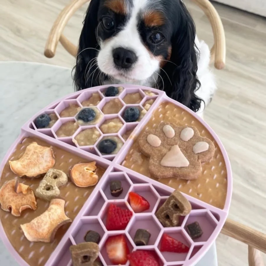 کره بادام زمینی سگ BUDDY BUDDER با طعم رد ولوت، 100% طبیعی، تشویقی سگ، ساخت آمریکا (482 گرم)