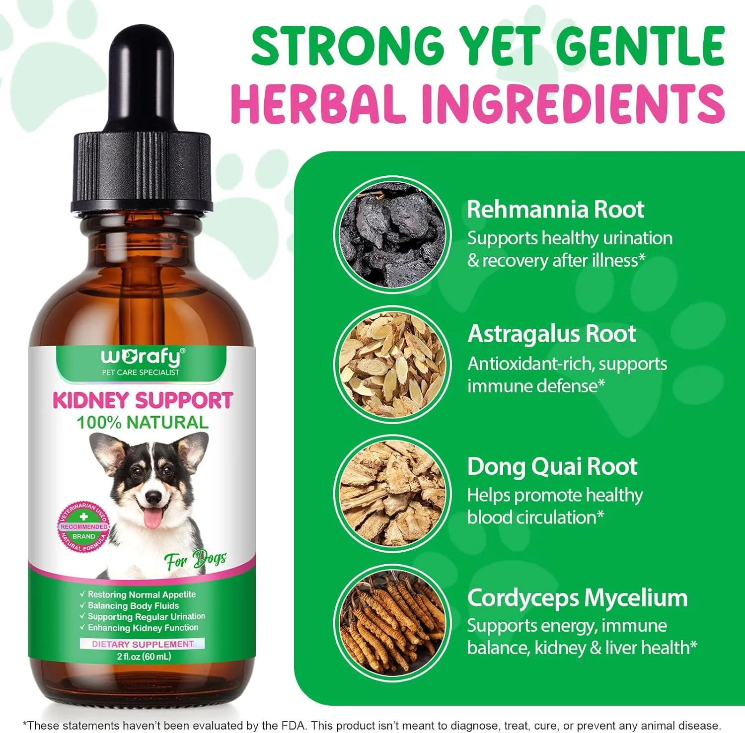 محلول تقویت مثانه و کلیه سگ ها، درمان ۱۰۰٪ طبیعی مجاری ادراری سگ ها ۶۰ میلی لیتر، پشتیبانی از عملکرد سالم کلیه و مراقبت از عفونت ادراری سگ با رهمانیا، تقویت کننده سیستم ایمنی سگ با رادیکس آستراگالی