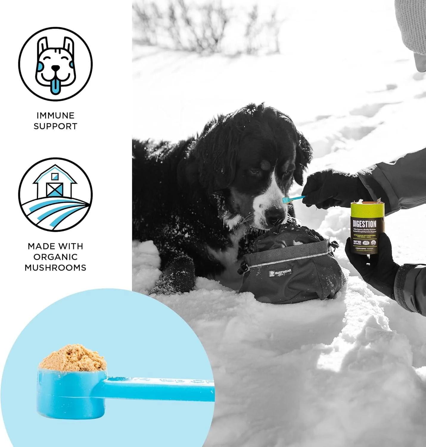 مکمل غذایی سوپرفود ارگانیک روزانه سگ و گربه بیکسبی، تقویت سیستم ایمنی، 60 گرم