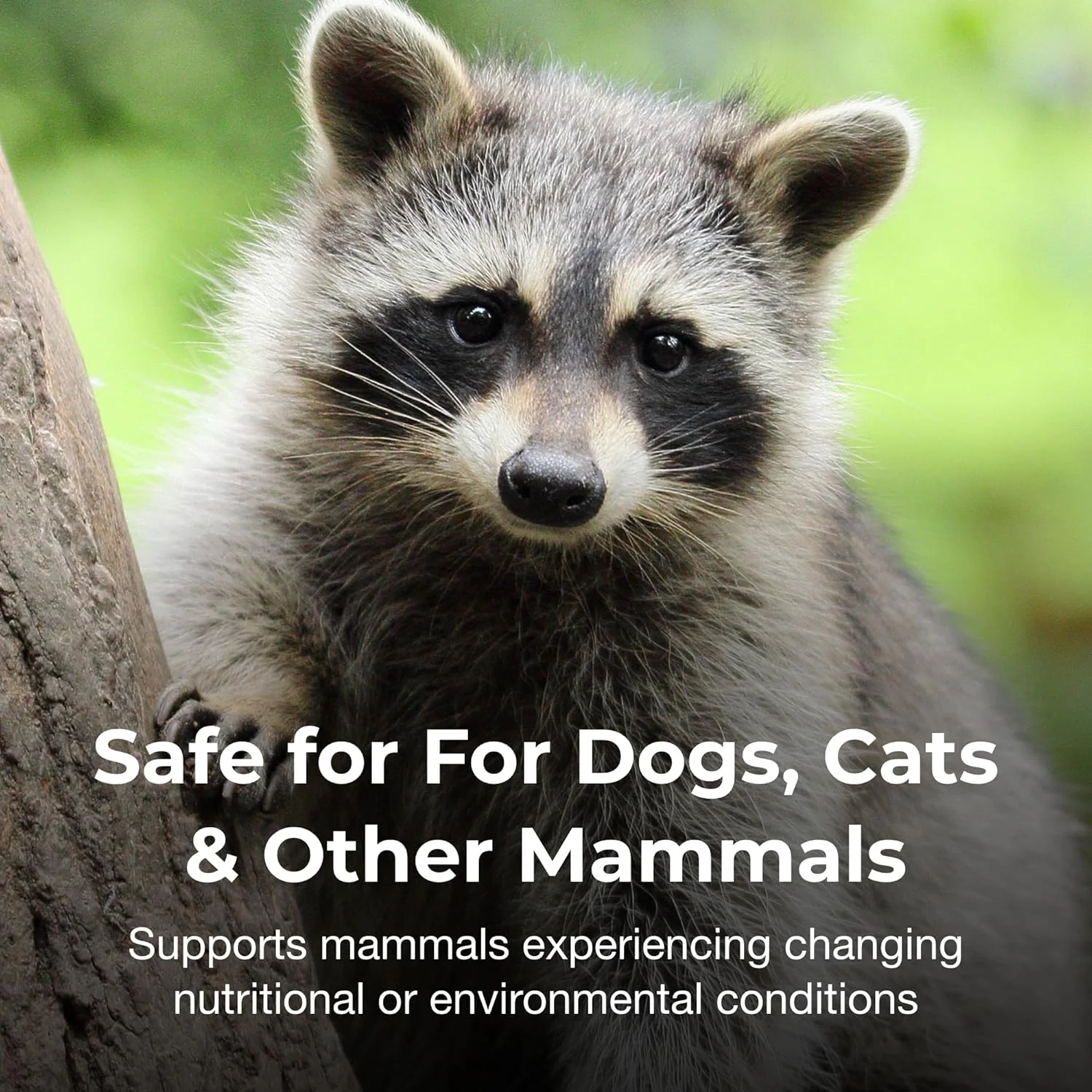 پودر پری‌بیوتیک حیوانات خانگی Bene-Bac Plus، ۴۵۰ گرمی