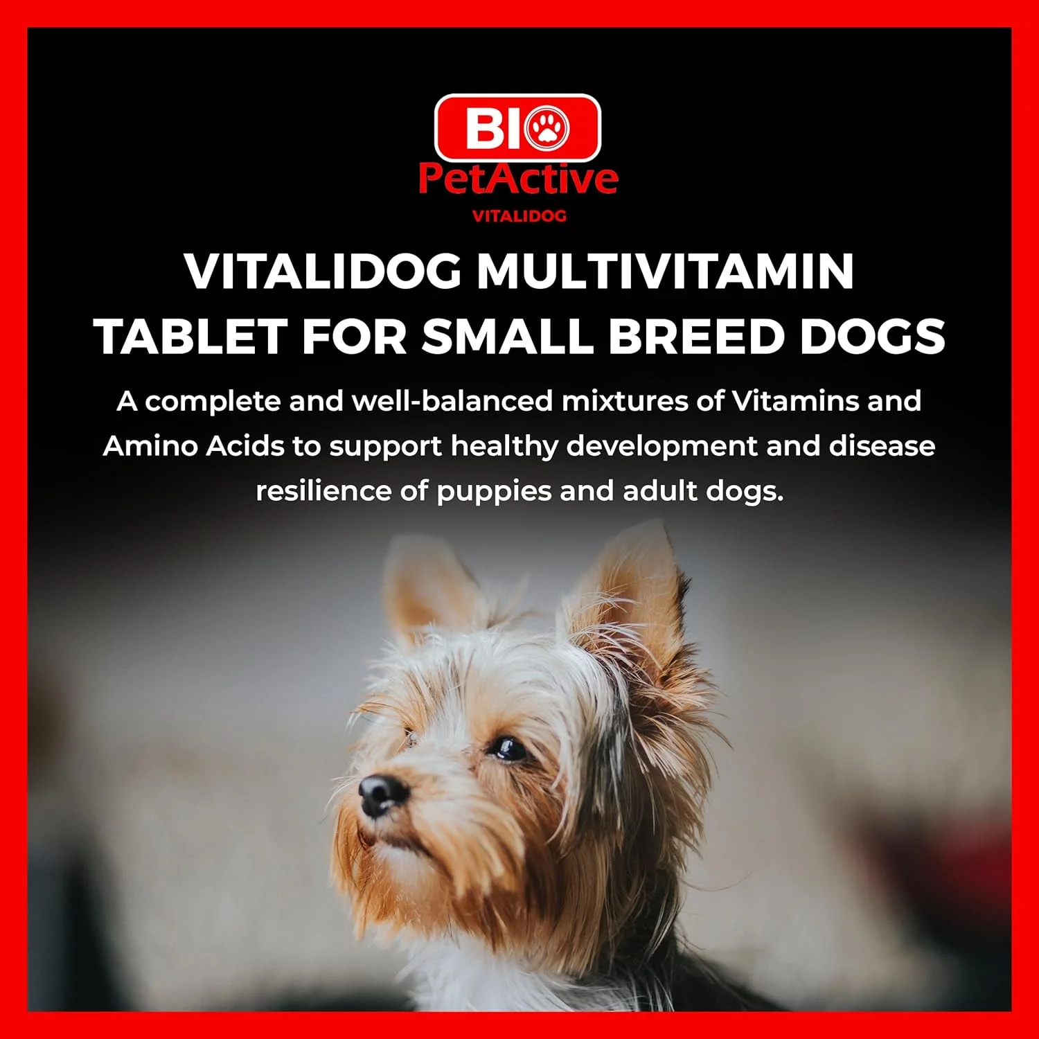 قرص مولتی ویتامین سگ نژاد کوچک بایو پت اکتیو ویتالیداگ (60 عددی)