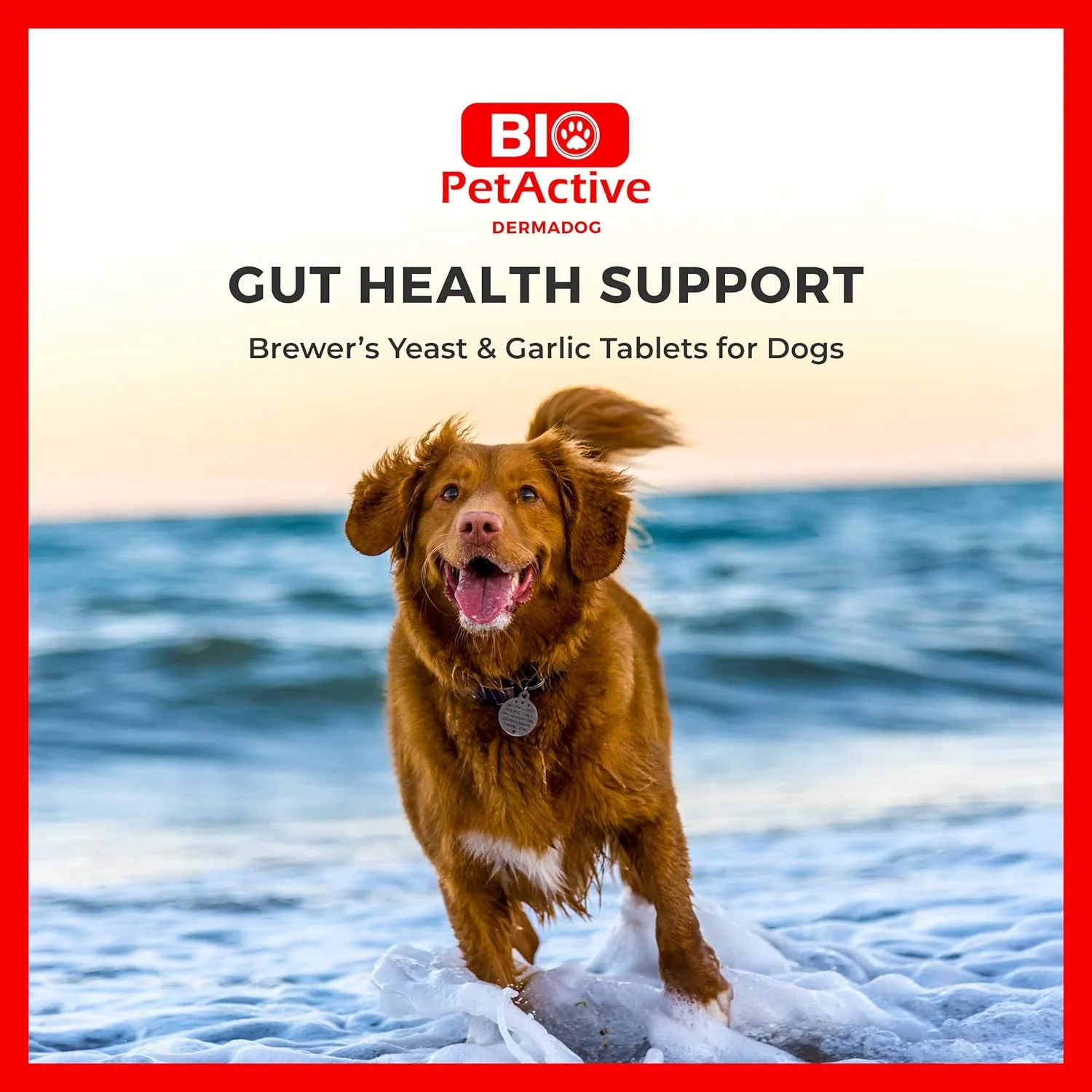 قرص مخمر آبجو و سیر Bio PetActive Dermadog 0.5 مخصوص سگ ها 150 عددی