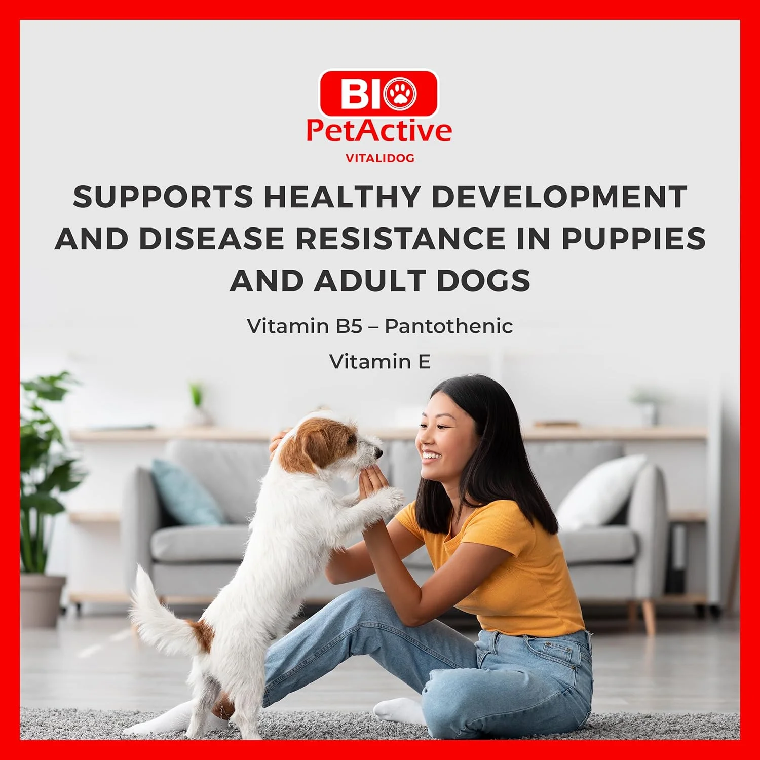 قرص مولتی ویتامین سگ نژاد کوچک بایو پت اکتیو ویتالیداگ (60 عددی)