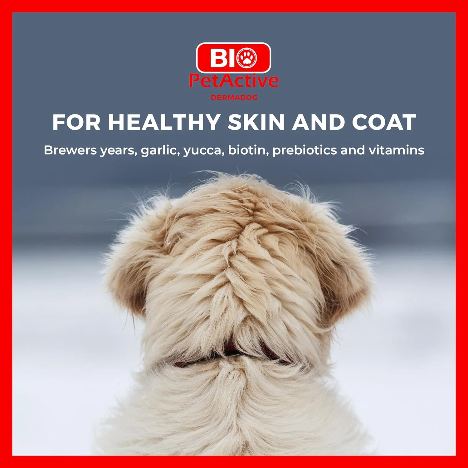 قرص مخمر آبجو و سیر Bio PetActive Dermadog 0.5 مخصوص سگ ها 150 عددی