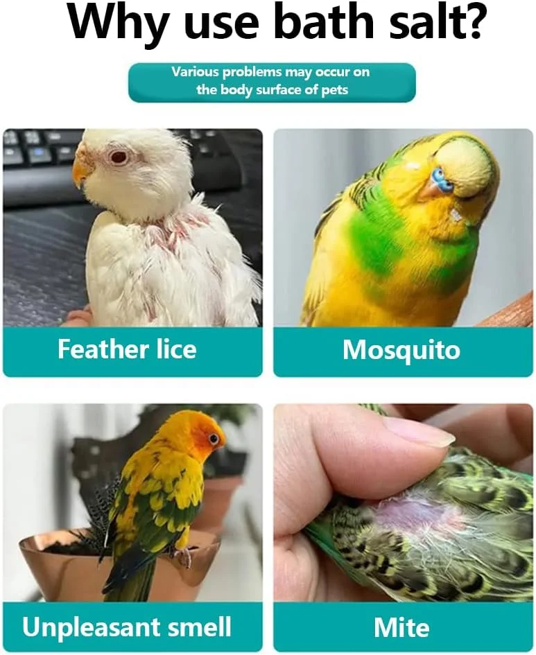 نمک حمام پرندگان 300 گرمی، کمک به فرآیند طبیعی پرریزی، ترویج تغییر سریعتر و کارآمدتر پرها، برای پرندگان خانگی و کبوترهای مسابقه نمک حمام پرندگان 300 گرمی، کمک به فرآیند طبیعی پرریزی، ترویج تغییر سریعتر و کارآمدتر پرها، برای پرندگان خانگی و کبوترهای مسابقه