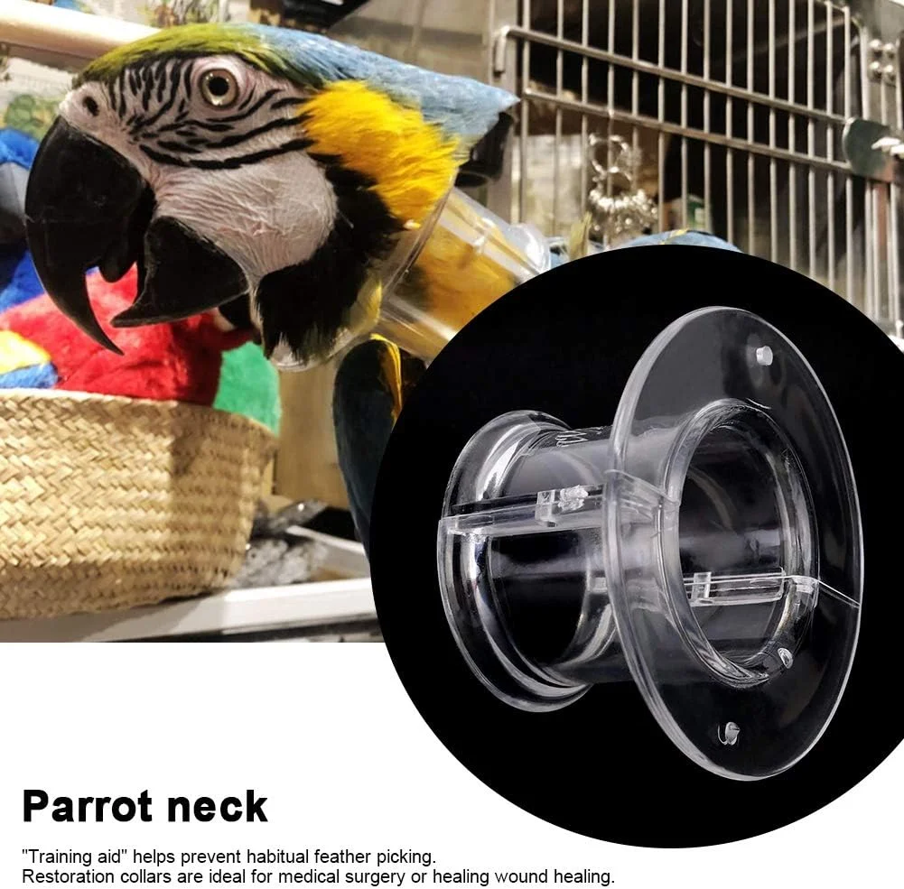 یقه گردنی طوطی، پوشش گردنی بادوام اکریلیک برای التیام زخم پرنده مناسب فروشگاه حیوانات خانگی (قطر بیرونی M 7.2 قطر داخلی 3.5) یقه گردنی طوطی، پوشش گردنی بادوام اکریلیک برای التیام زخم پرنده مناسب فروشگاه حیوانات خانگی (قطر بیرونی M 7.2 قطر داخلی 3.5)