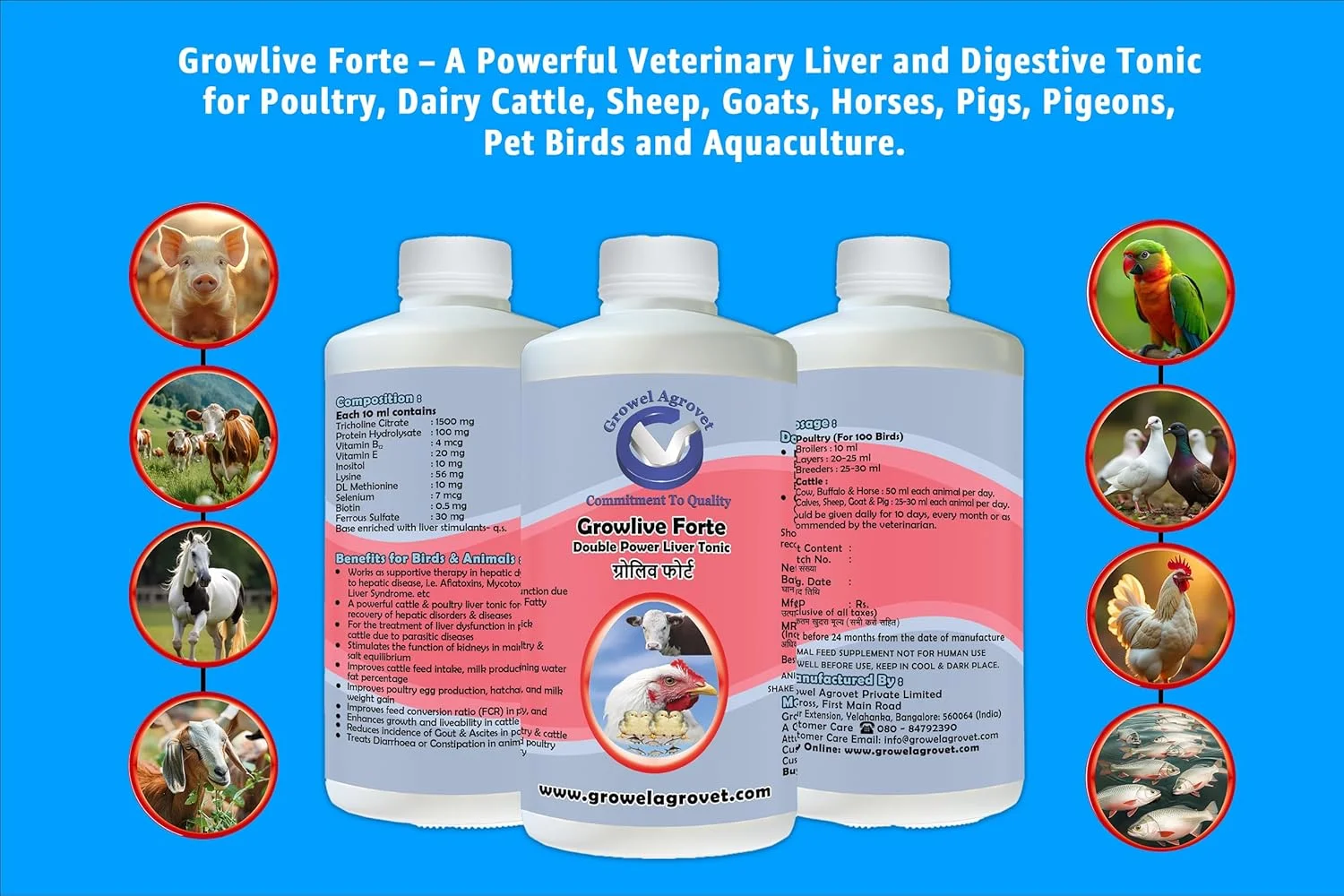 گروول آگرووت گرولایو فورته - تونیک کبد برای هضم، اشتها، بهبود ضریب تبدیل خوراک، رشد و مصرف خوراک طیور، گاو، اسب، خوک، بز، گوسفند، کبوتر و پرندگان - 500 میلی لیتر گروول آگرووت گرولایو فورته - تونیک کبد برای هضم، اشتها، بهبود ضریب تبدیل خوراک، رشد و مصرف خوراک طیور، گاو، اسب، خوک، بز، گوسفند، کبوتر و پرندگان - 500 میلی لیتر