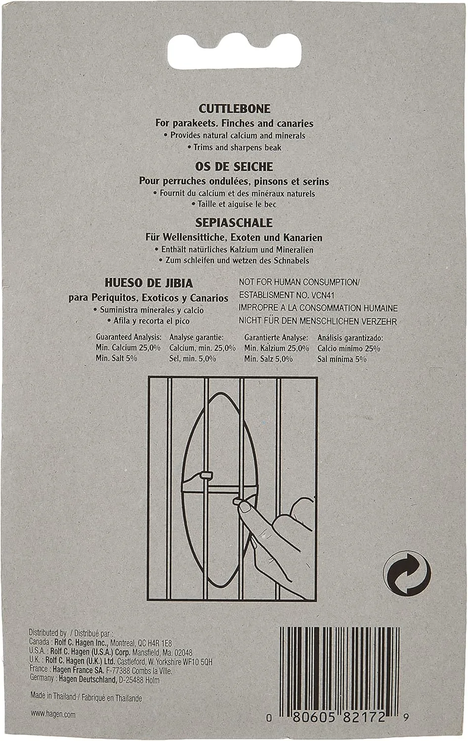 استخوان سپیداج دوتایی هاگن لیوینگ ورلد - کوچک استخوان سپیداج دوتایی هاگن لیوینگ ورلد - کوچک
