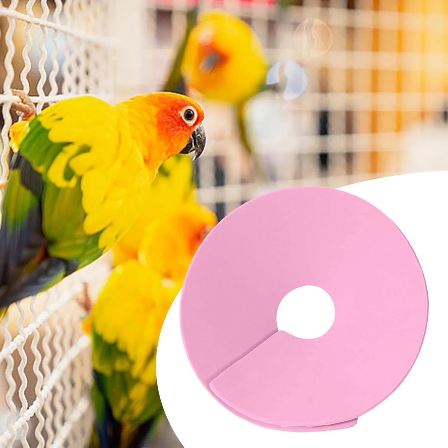 طوق گردنی مخروطی همستر - طوق محافظ گردن پرنده برای مرغ عشق - پوشاک گردنی قابل تنظیم لوازم حیوانات خانگی برای محافظت، مسافرت و جلوگیری از آسیب طوق گردنی مخروطی همستر - طوق محافظ گردن پرنده برای مرغ عشق - پوشاک گردنی قابل تنظیم لوازم حیوانات خانگی برای محافظت، مسافرت و جلوگیری از آسیب