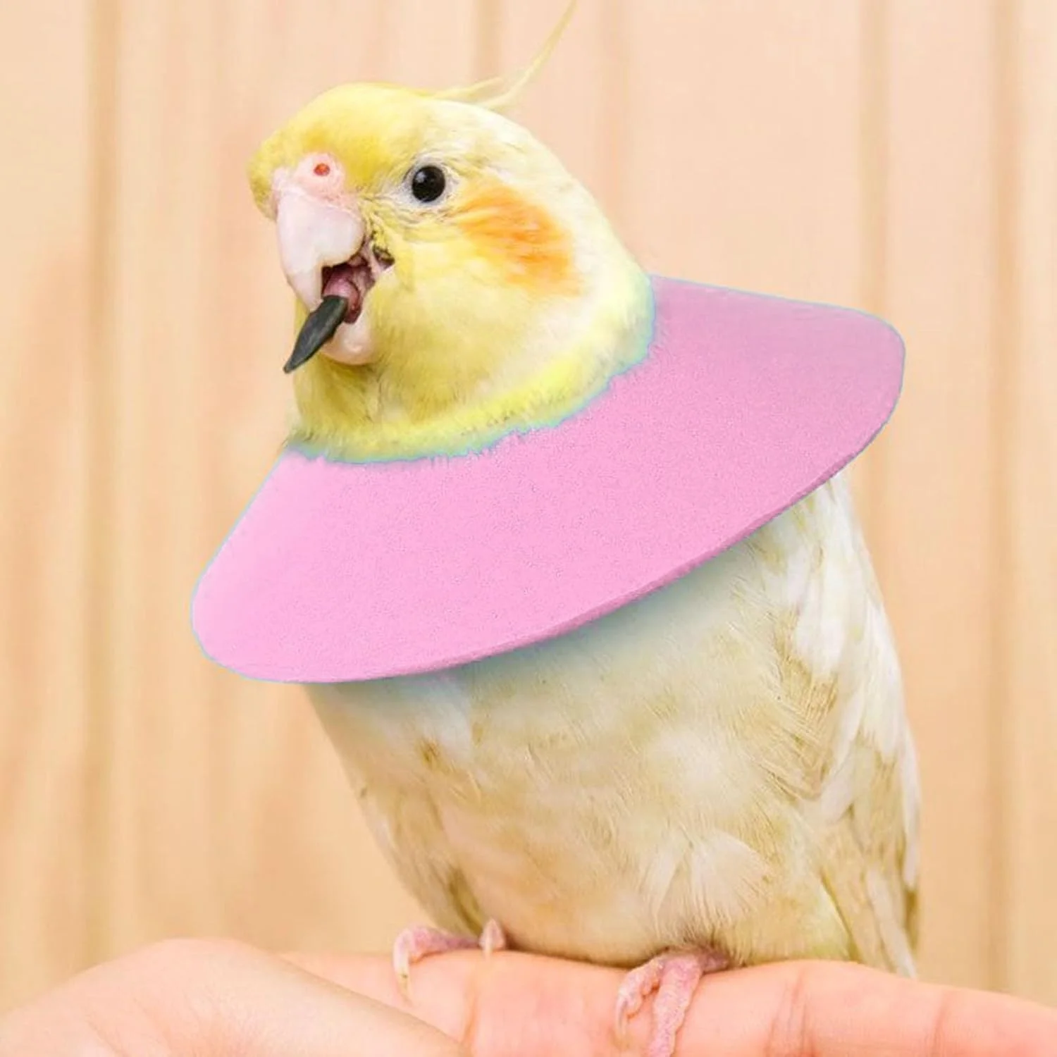 طوق گردنی مخروطی همستر - طوق محافظ گردن پرنده برای طوطی، گردن آویز راحت لوازم حیوانات خانگی برای موش آموزش روزانه گربه مسافرت محافظت از زخم راسو جلوگیری از لیسیدن طوق گردنی مخروطی همستر - طوق محافظ گردن پرنده برای طوطی، گردن آویز راحت لوازم حیوانات خانگی برای موش آموزش روزانه گربه مسافرت محافظت از زخم راسو جلوگیری از لیسیدن