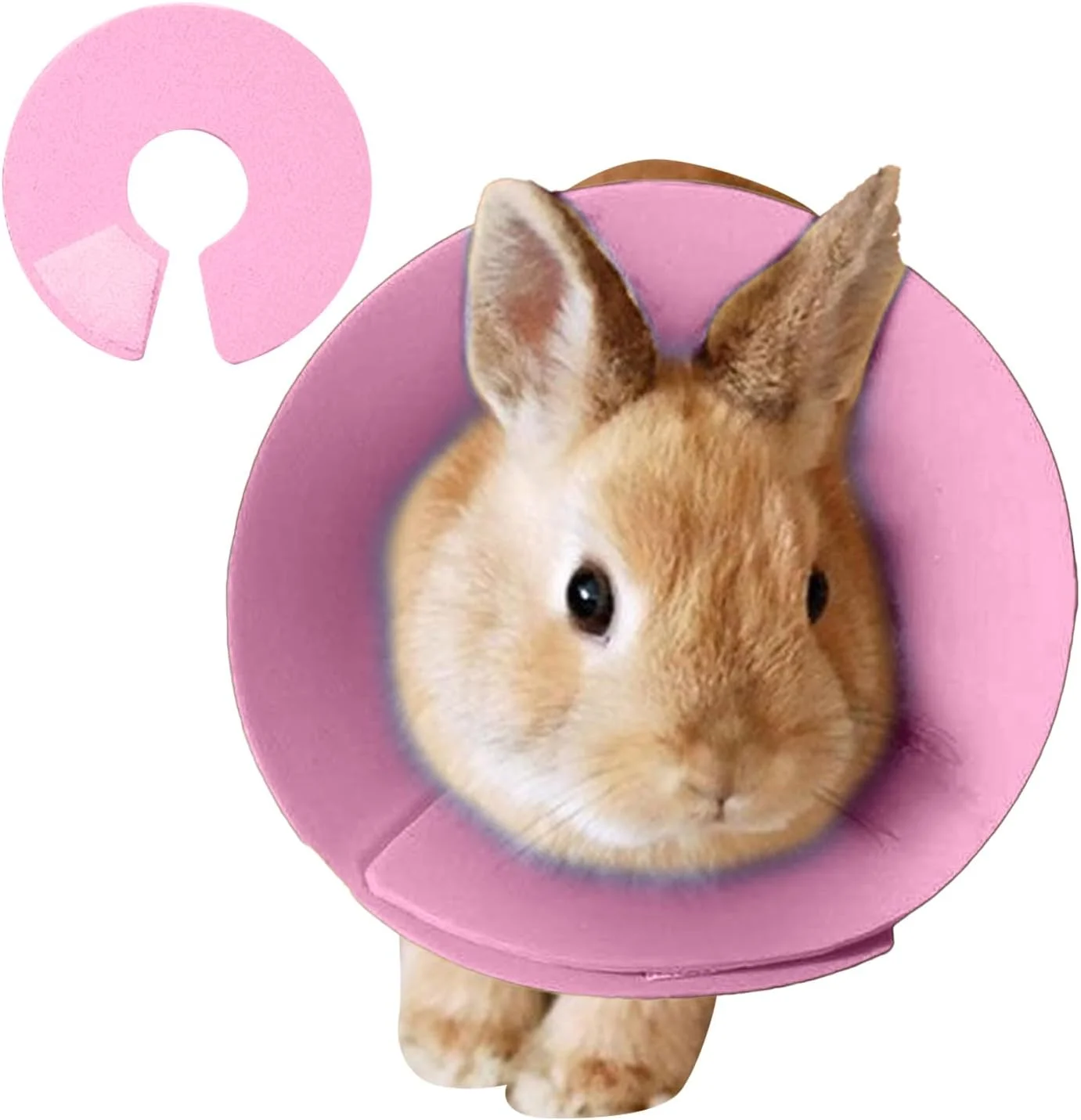 طوق گردنی محافظ همستر | طوق گردنی نرم ضد لیسیدن همستر - گردن پوش محافظ حیوانات کوچک برای مسافرت روزانه طوطی، خرگوش، راسو، مرغ عشق و موش ها، محافظت در برابر خراش طوق گردنی محافظ همستر | طوق گردنی نرم ضد لیسیدن همستر - گردن پوش محافظ حیوانات کوچک برای مسافرت روزانه طوطی، خرگوش، راسو، مرغ عشق و موش ها، محافظت در برابر خراش