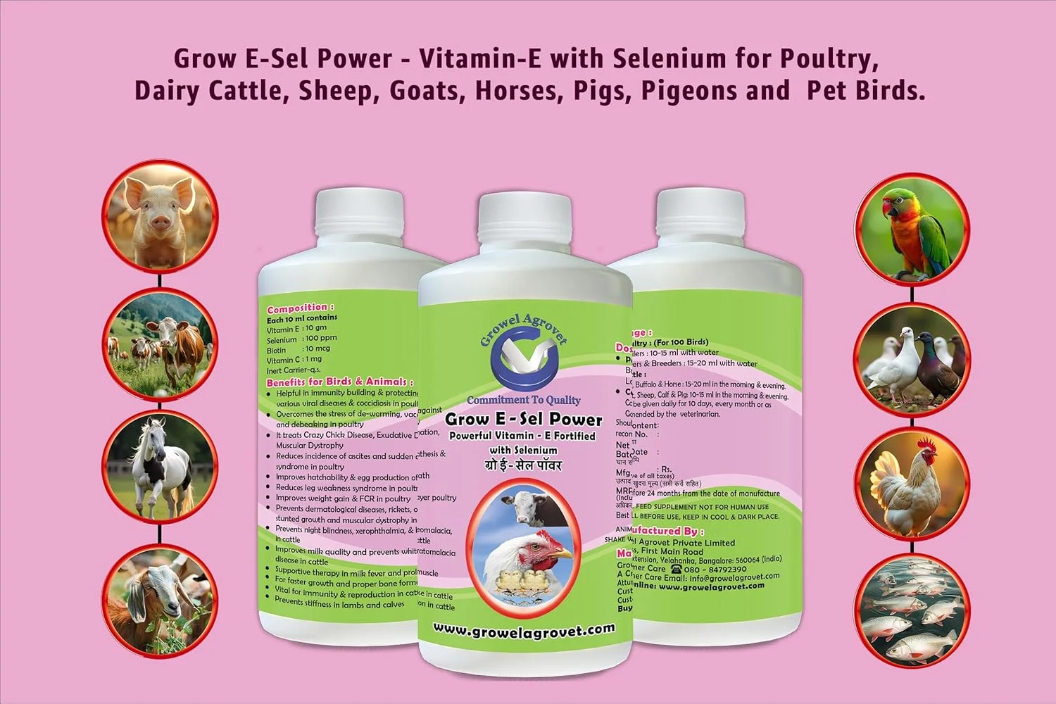گروول آگرووت گرو ای-سل پاور: ویتامین ای به همراه سلنیوم و بیوتین برای طیور، گاو، اسب، خوک، بز، گوسفند، کبوتر و پرندگان - 250 میلی لیتر