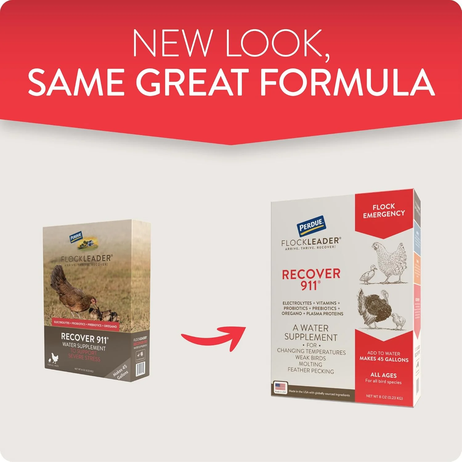 مکمل آب پروبیوتیک برای مرغ ها، حاوی الکترولیت ها، پری بیوتیک ها و پونه کوهی، مناسب برای دوران تولک، آب و هوای نامساعد و حمایت در برابر حمله حیوانات وحشی، 240 میلی لیتر مکمل آب پروبیوتیک برای مرغ ها، حاوی الکترولیت ها، پری بیوتیک ها و پونه کوهی، مناسب برای دوران تولک، آب و هوای نامساعد و حمایت در برابر حمله حیوانات وحشی، 240 میلی لیتر