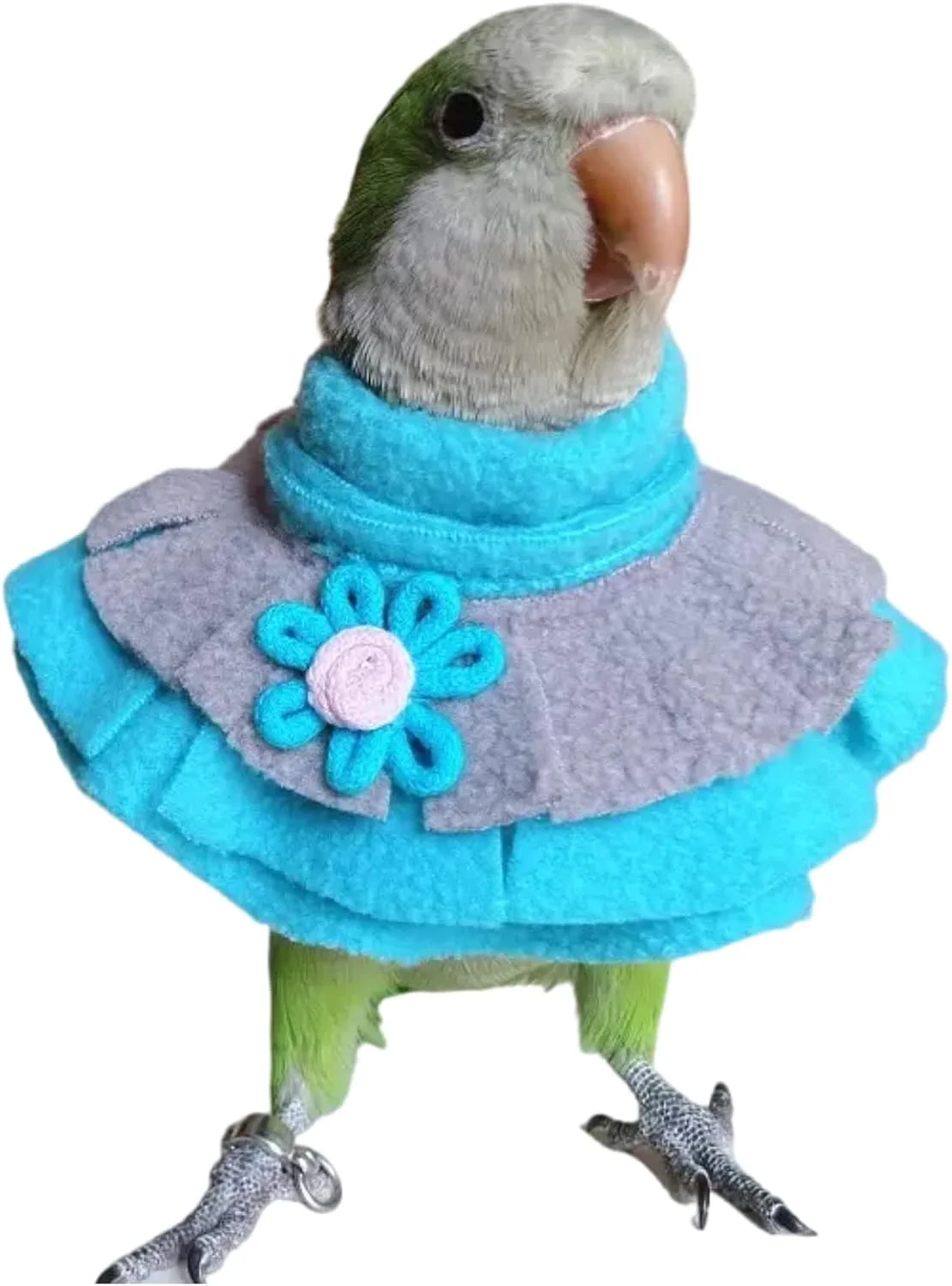 یقه محافظ پرنده، مخروط الیزابتی برای جلوگیری از گاز گرفتن و بهبود زخم، محافظ گردن پرنده برای جلوگیری از کندن پر، محافظ کامل بدن پرنده، شنل ضد باد مناسب فضای باز پرنده با رنگ تصادفی (طوطی خاکستری آفریقایی) یقه محافظ پرنده، مخروط الیزابتی برای جلوگیری از گاز گرفتن و بهبود زخم، محافظ گردن پرنده برای جلوگیری از کندن پر، محافظ کامل بدن پرنده، شنل ضد باد مناسب فضای باز پرنده با رنگ تصادفی (طوطی خاکستری آفریقایی)