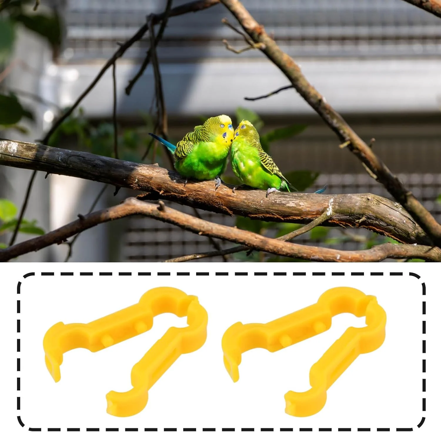 حلقه درمان پای پرنده ایمگتک، 6 میلیمتری، مناسب برای درمان پاهای باز پرندگان، حلقه پای پرنده برای عروس هلندی و انواع کوچکتر کانور، نارنجی، 2 عدد حلقه درمان پای پرنده ایمگتک، 6 میلیمتری، مناسب برای درمان پاهای باز پرندگان، حلقه پای پرنده برای عروس هلندی و انواع کوچکتر کانور، نارنجی، 2 عدد