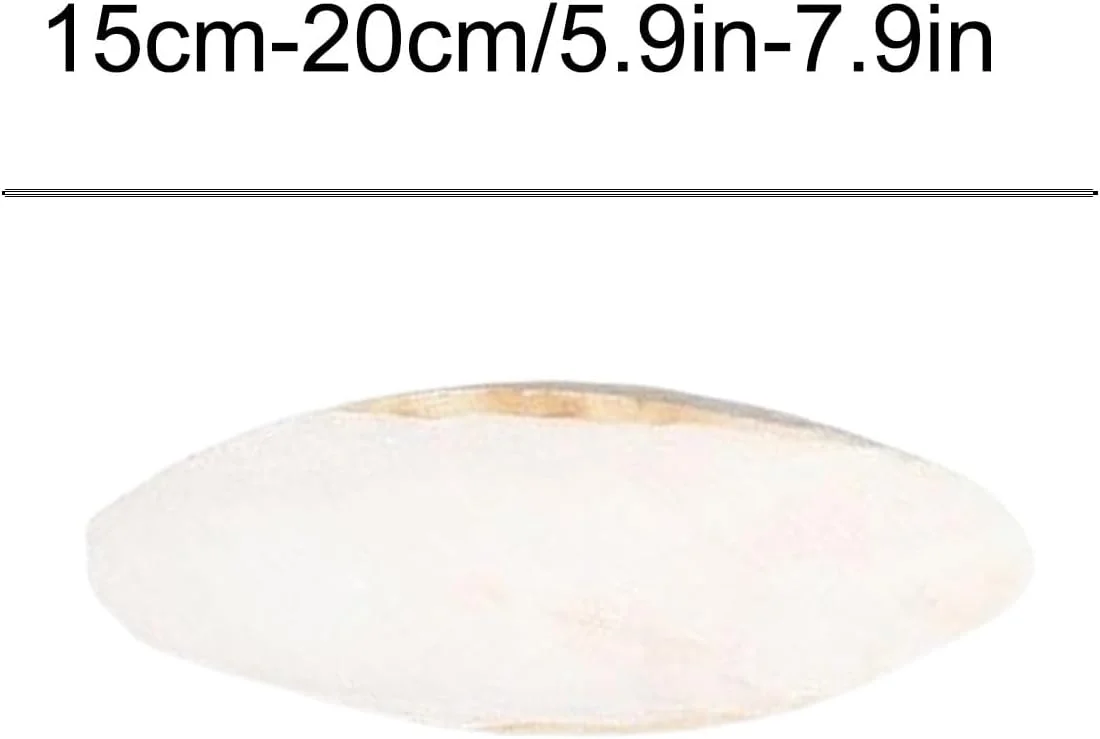 استخوان سپیداج برای لاک پشت، 2 عدد استخوان لاک پشت، سنگ ساب نوک مرغ عشق 15-20 سانتی متری برای حیوانات خزنده، طوطی، آکواریوم، قناری و عروس هلندی استخوان سپیداج برای لاک پشت، 2 عدد استخوان لاک پشت، سنگ ساب نوک مرغ عشق 15-20 سانتی متری برای حیوانات خزنده، طوطی، آکواریوم، قناری و عروس هلندی