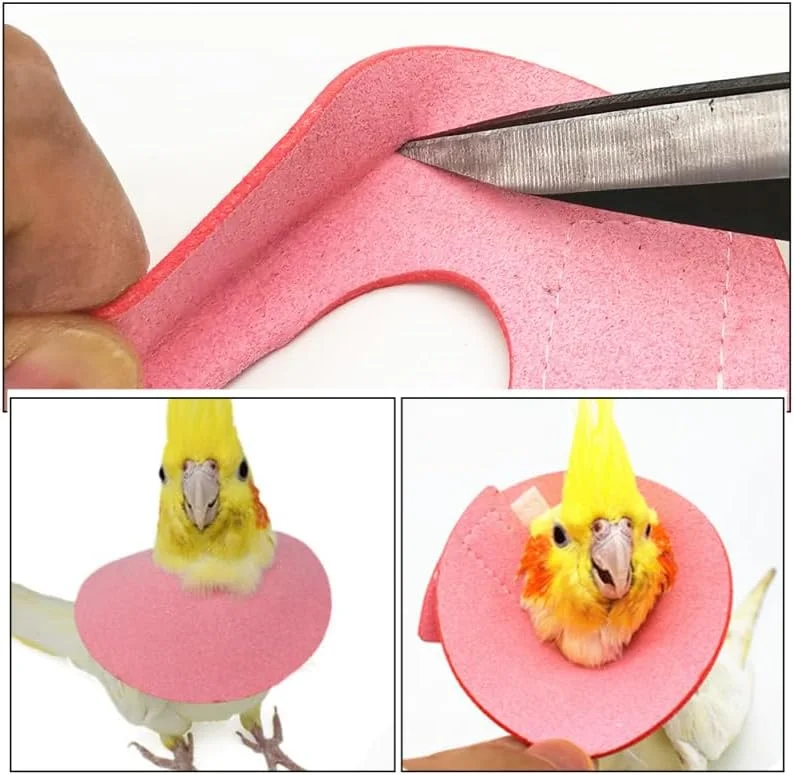 طوق گردنی پرنده طرح مرغ، طوق تزئینی ضد گاز گرفتن برای طوطی طوق گردنی پرنده طرح مرغ، طوق تزئینی ضد گاز گرفتن برای طوطی