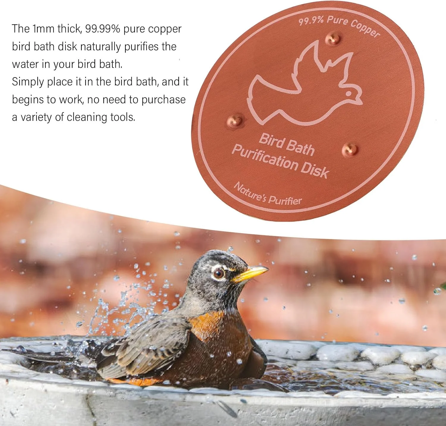 دیسک مسی خالص Cryfokt برای تمیز کردن، استفاده کارآمد در تمام فصول، ضخامت 1 میلی متر، دیسک مسی حمام پرندگان برای فضای باز (D) دیسک مسی خالص Cryfokt برای تمیز کردن، استفاده کارآمد در تمام فصول، ضخامت 1 میلی متر، دیسک مسی حمام پرندگان برای فضای باز (D)