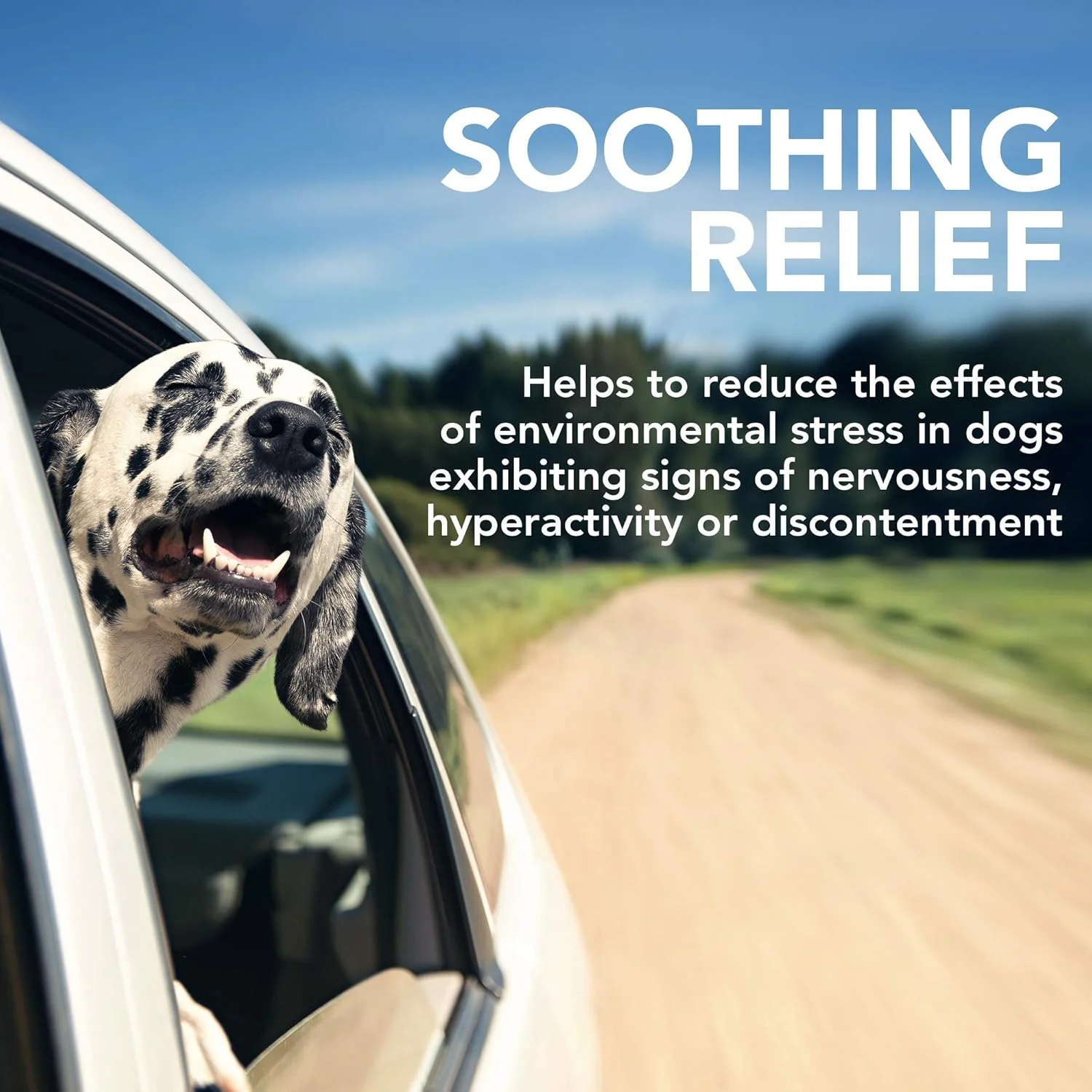 تشویقی نرم و آرام‌بخش سگ Vet's Best Comfort Calm | کمک به آرامش سگ، پشتیبانی از رفتار متعادل | ترویج آرامش | تامین 30 روزه