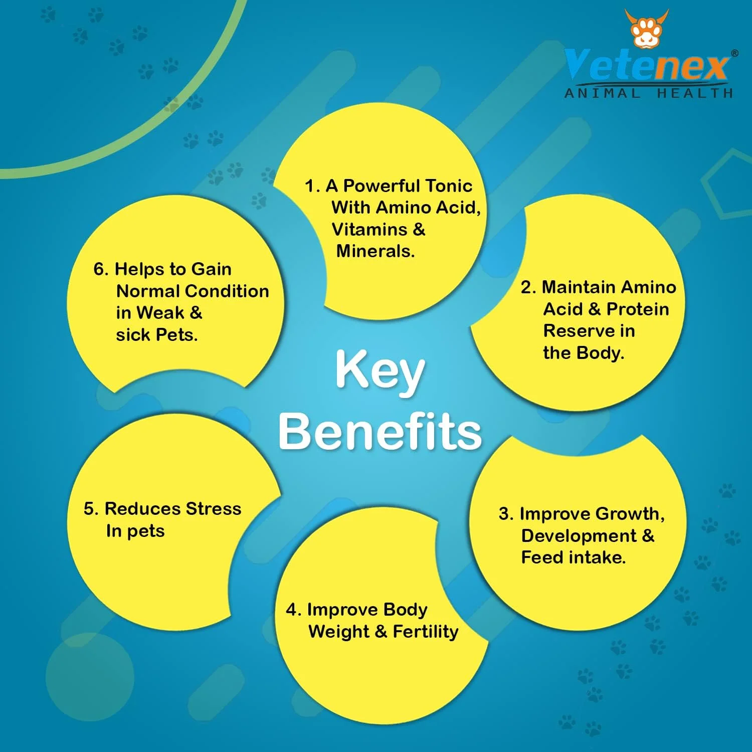 شربت مکمل مینovit پت - مولتی ویتامین های ضروری، آمینو اسیدها و مواد معدنی به همراه آنتی اکسیدان و تقویت کننده سیستم ایمنی برای سگ ها، توله سگ ها و گربه ها - 200 میلی لیتر