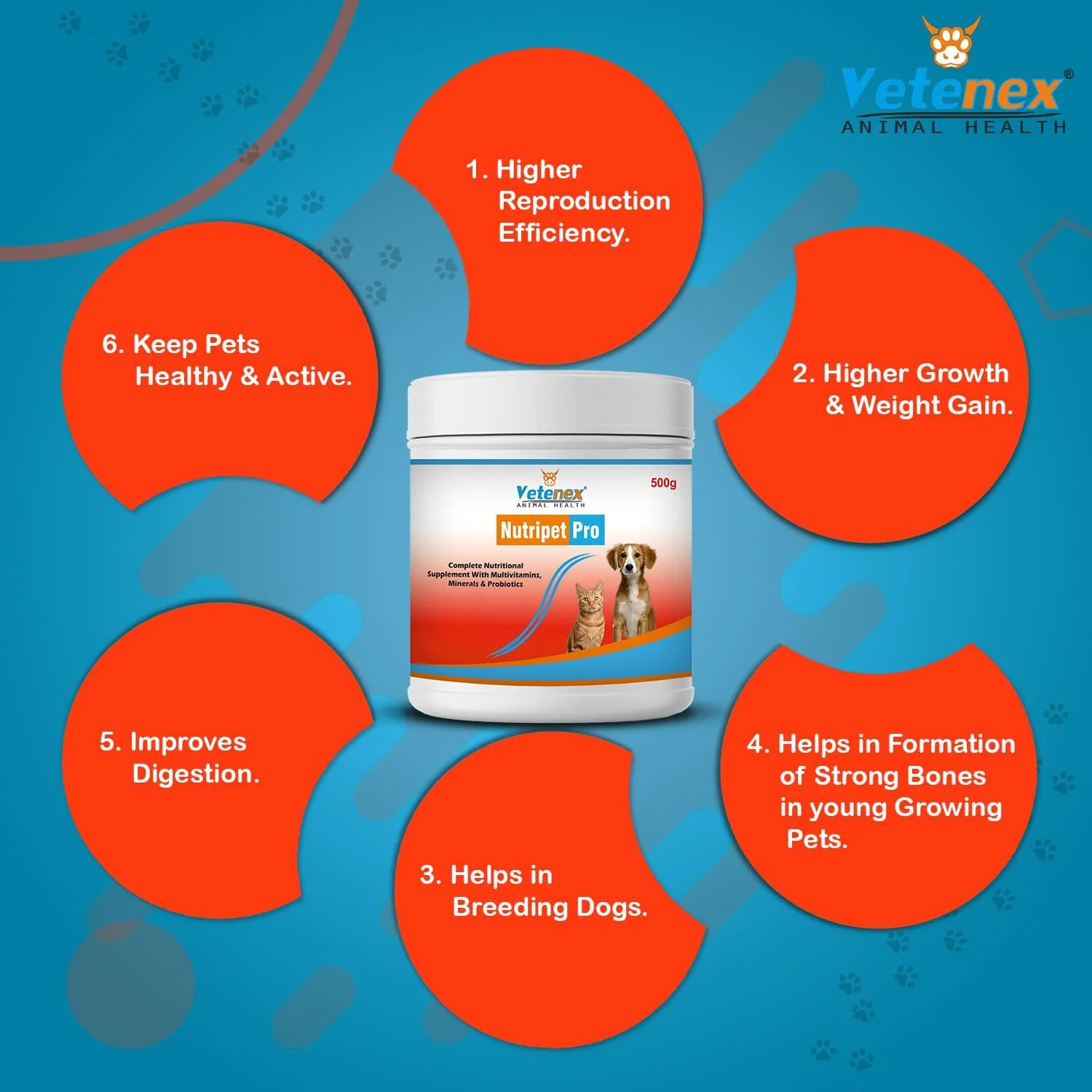 مکمل تقویت کننده کبد و افزایش رشد، تقویت سیستم ایمنی و افزایش وزن برای سگ ها، توله سگ ها و گربه ها - بسته 2 عددی