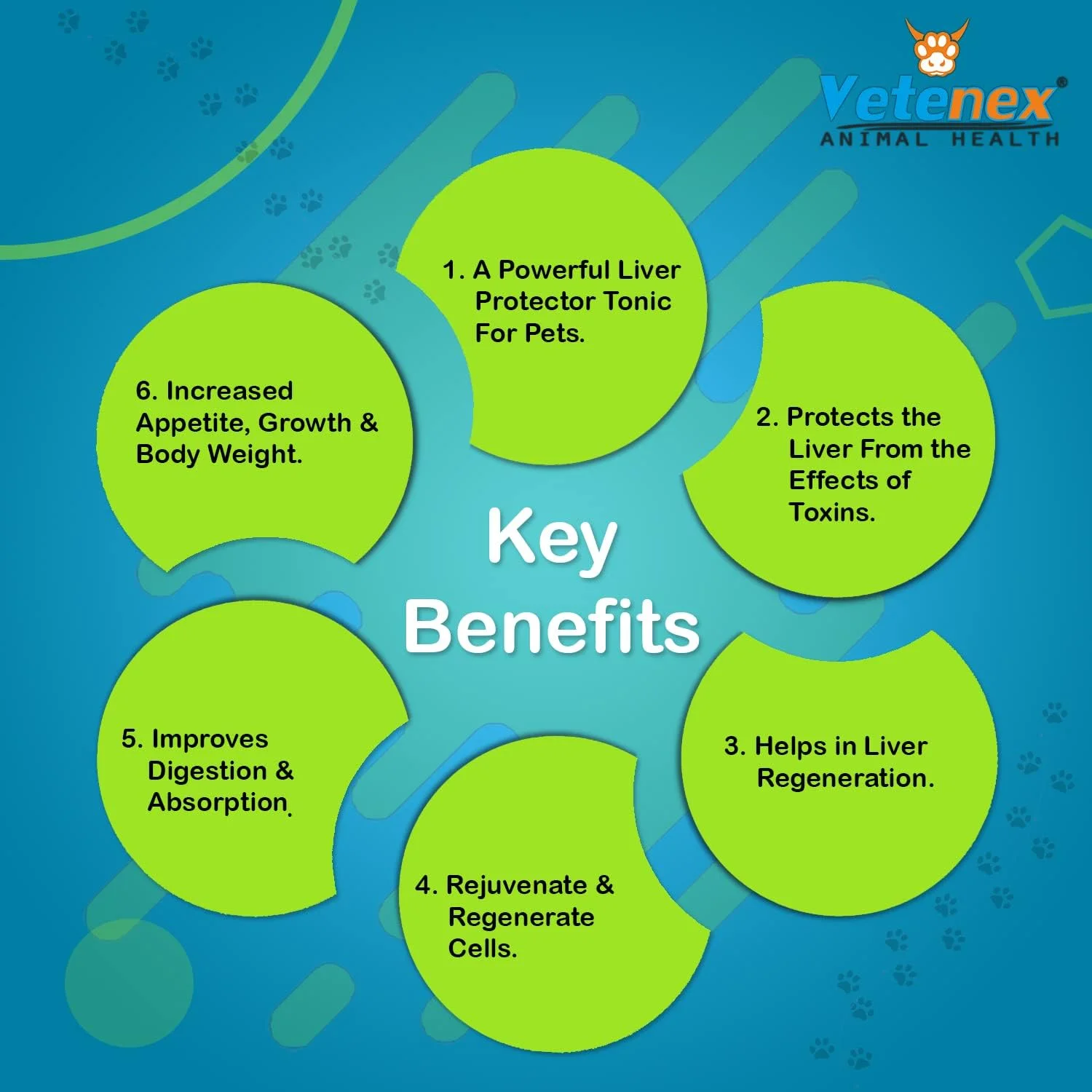 تونیک مکمل کبد Lysoguard-Pet، تقویت کننده اشتها برای سگ، توله سگ و گربه (200 میلی لیتر x 2) بسته 2 عددی