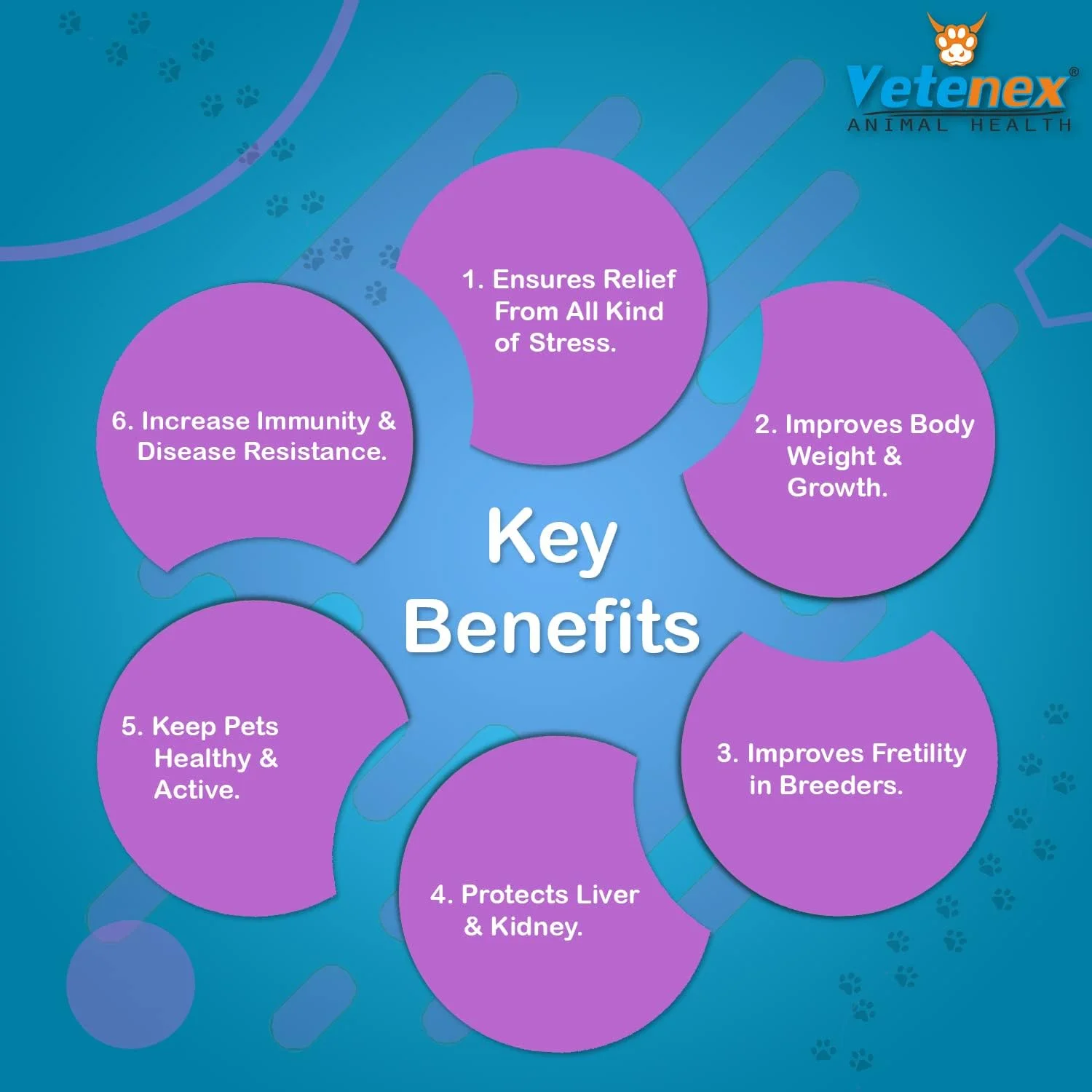 محلول مکمل ویتامین B-کمپلکس و آمینو اسید مخصوص سگ، توله سگ و گربه (200 میلی لیتر x 2) بسته 2 عددی