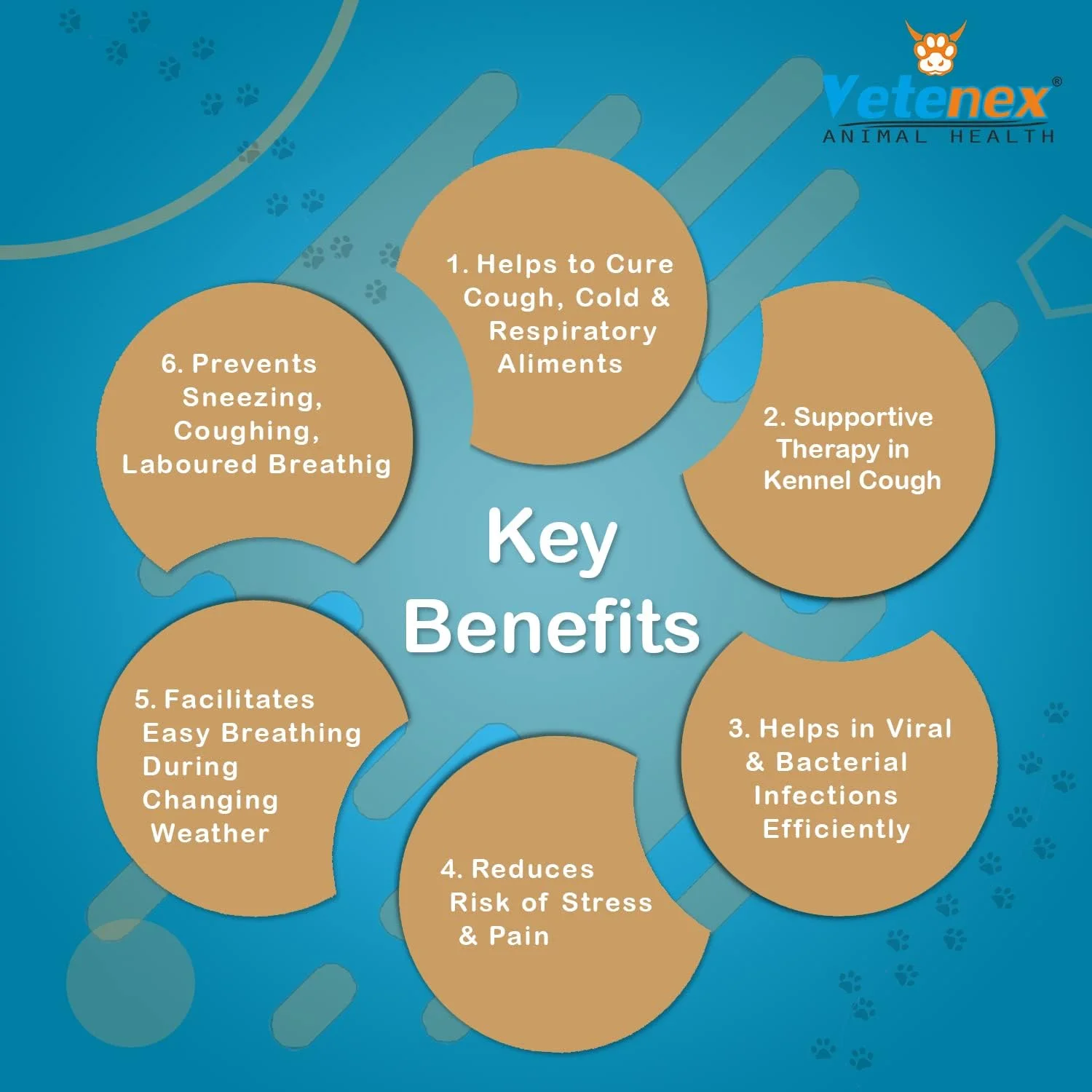 شربت ضد سرفه حیوانات خانگی کاف اوت پت - مناسب برای سگ، توله سگ و گربه - 200 میلی لیتر