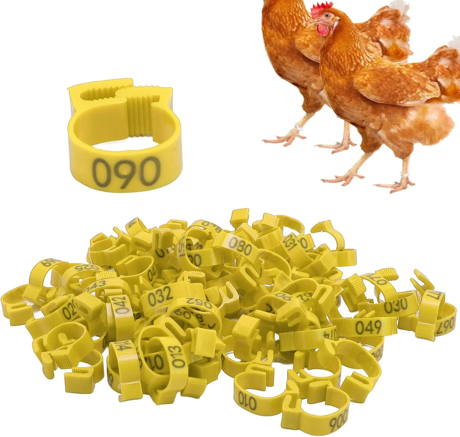 حلقه پای مرغ، 100 عدد حلقه شناسایی پلاستیکی برای پای مرغ، 20 میلیمتری شمارهگذاری شده 001 تا 100 برای اردک، جوجه، غاز، مرغ جنگی، بوقلمون (زرد) حلقه پای مرغ، 100 عدد حلقه شناسایی پلاستیکی برای پای مرغ، 20 میلیمتری شمارهگذاری شده 001 تا 100 برای اردک، جوجه، غاز، مرغ جنگی، بوقلمون (زرد)