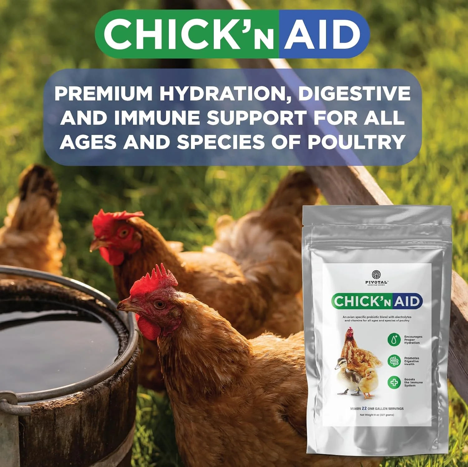 مکمل غذایی طیور Chick’n Aid برای همه سنین (227 گرم، بسته 1 عددی) - ویتامین ها، الکترولیت ها و پروبیوتیک ها - ویتامین های چند منظوره برای مرغ، اردک و بوقلمون مکمل غذایی طیور Chick’n Aid برای همه سنین (227 گرم، بسته 1 عددی) - ویتامین ها، الکترولیت ها و پروبیوتیک ها - ویتامین های چند منظوره برای مرغ، اردک و بوقلمون