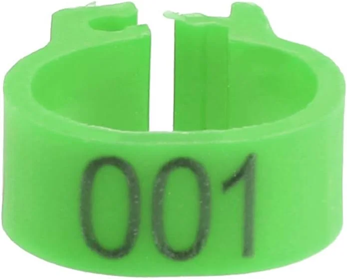 حلقه پا برای کبوتر، 100 عدد حلقه پلاستیکی در 6 رنگ مختلف، مناسب پرندگان بالغ برای کبوتر نامه بر (سبز) حلقه پا برای کبوتر، 100 عدد حلقه پلاستیکی در 6 رنگ مختلف، مناسب پرندگان بالغ برای کبوتر نامه بر (سبز)