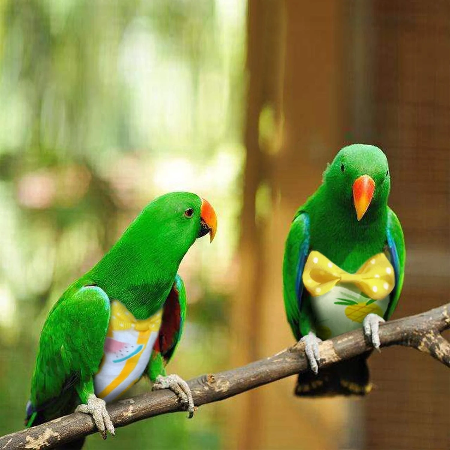 پوشک پرنده طوطی 2 عددی، لباس پرواز، پد نرم مناسب برای طوطی ماکائو، خاکستری آفریقایی، مرغ عشق، طوطی کوتوله، کاکادو، متوسط، طرح آناناس و هندوانه پوشک پرنده طوطی 2 عددی، لباس پرواز، پد نرم مناسب برای طوطی ماکائو، خاکستری آفریقایی، مرغ عشق، طوطی کوتوله، کاکادو، متوسط، طرح آناناس و هندوانه